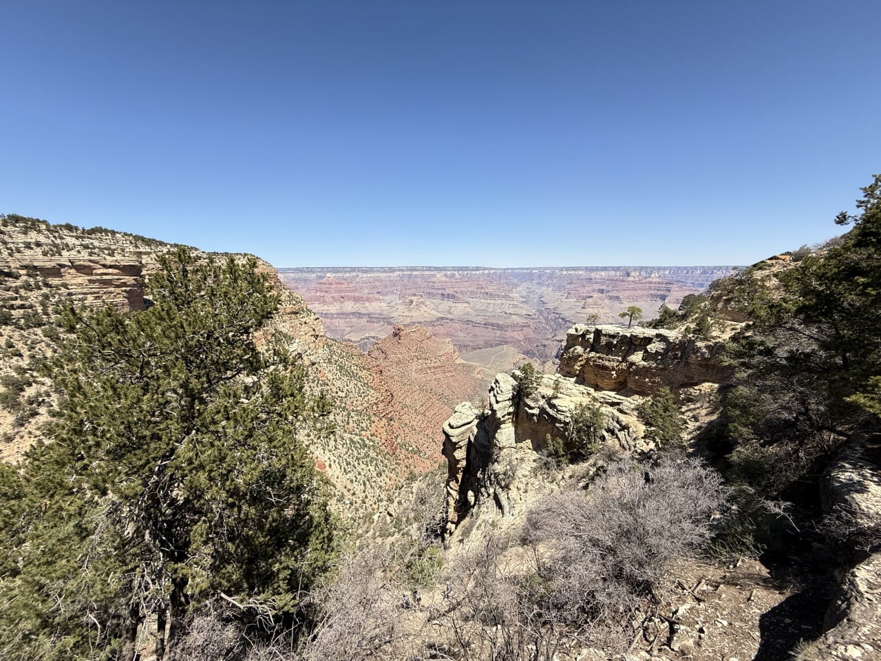 Výhled na Grand Canyon s útesy, borovicemi a jasnou modrou oblohou