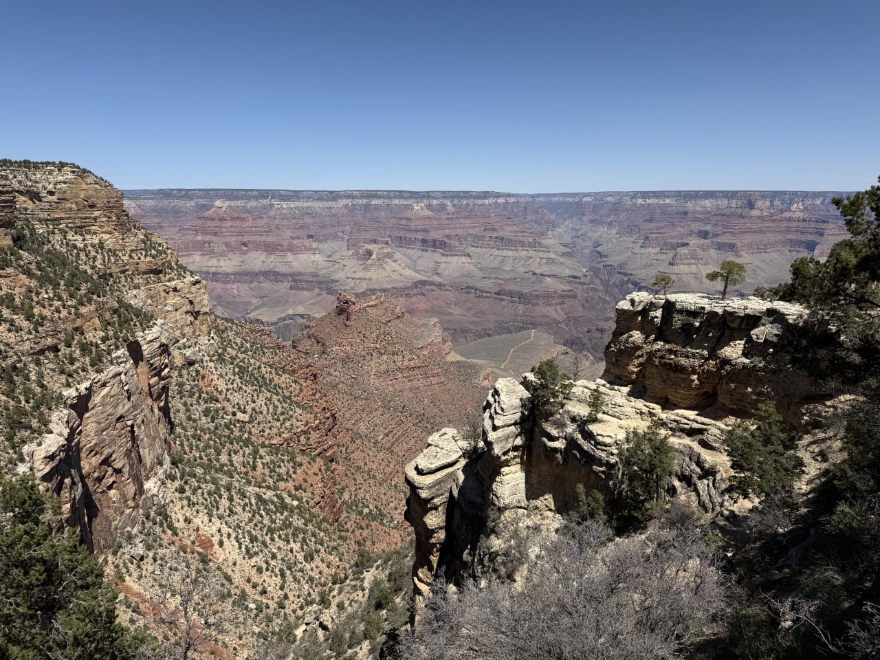 Ráno se Starbucks v ruce, odpoledne na hraně propasti: Grand Canyon Village a trail na Maricopa Point, kde jsme potkali srnky na metr