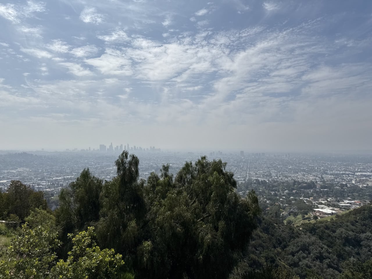 Panoramatický výhled na Los Angeles, s downtown v dálce a stromy v popředí.