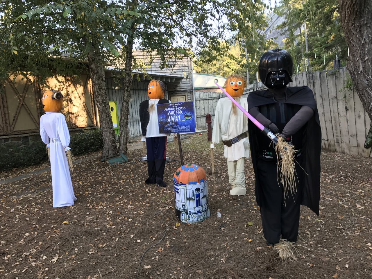 Halloweenová zahrada s figurínami Star Wars a dýňovými hlavami u dřevěného plotu