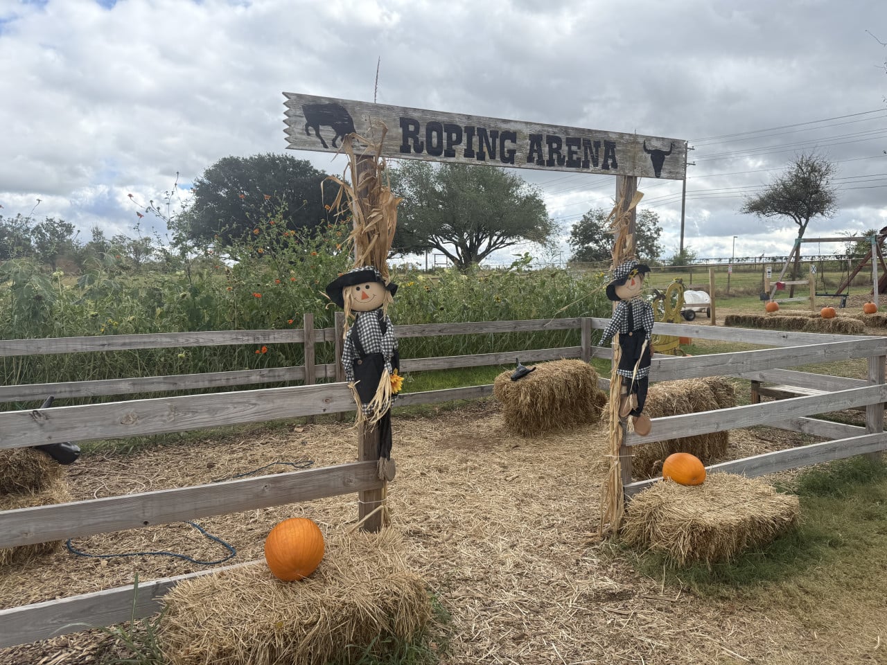 Podzimní farmářská atrakce s nápisem ROPING ARENA, strašáky a dýněmi na balících slámy