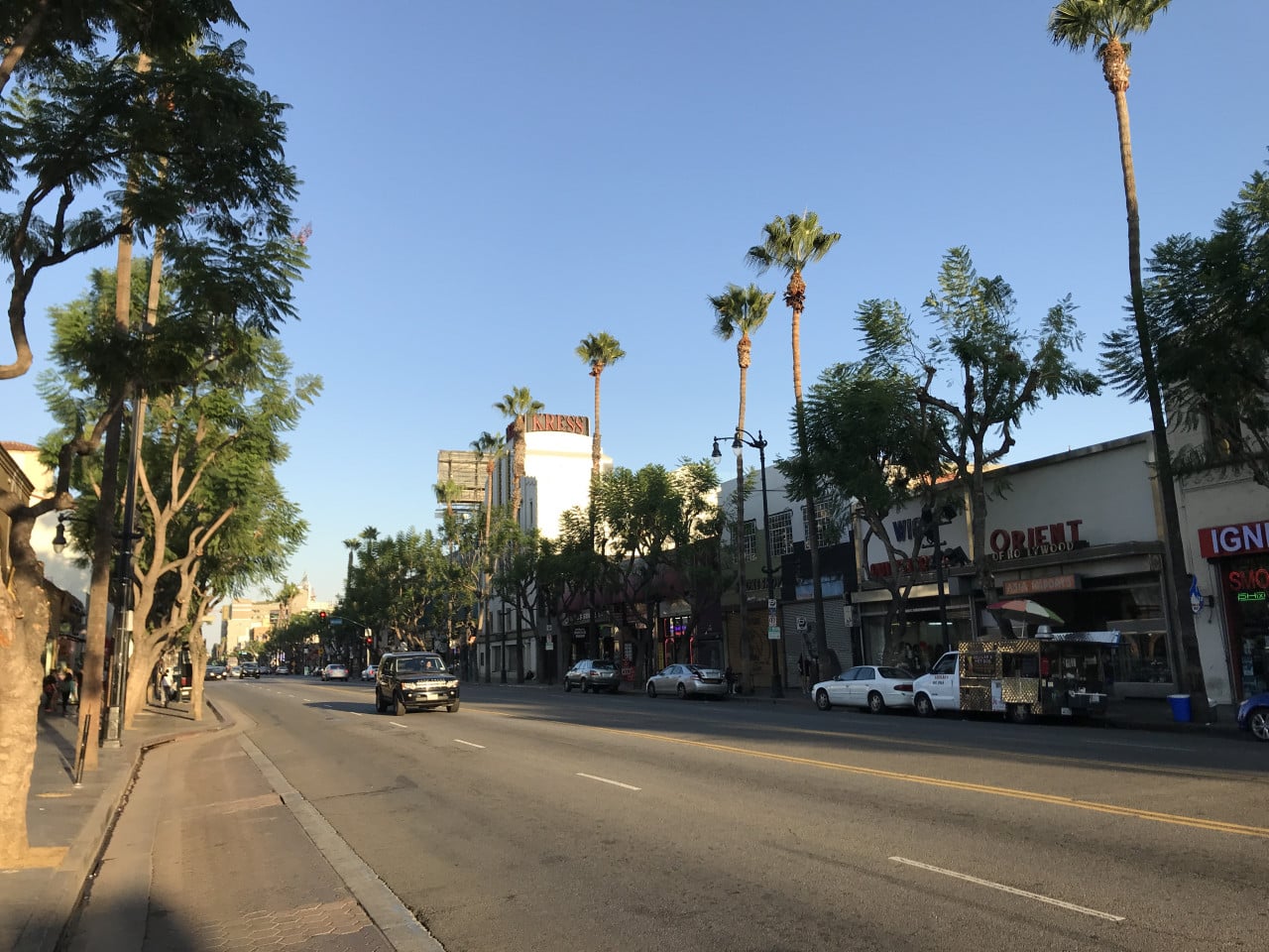 Ulice Hollywood Boulevard s palmami, obchody, auty a nápisem KRESS v dálce