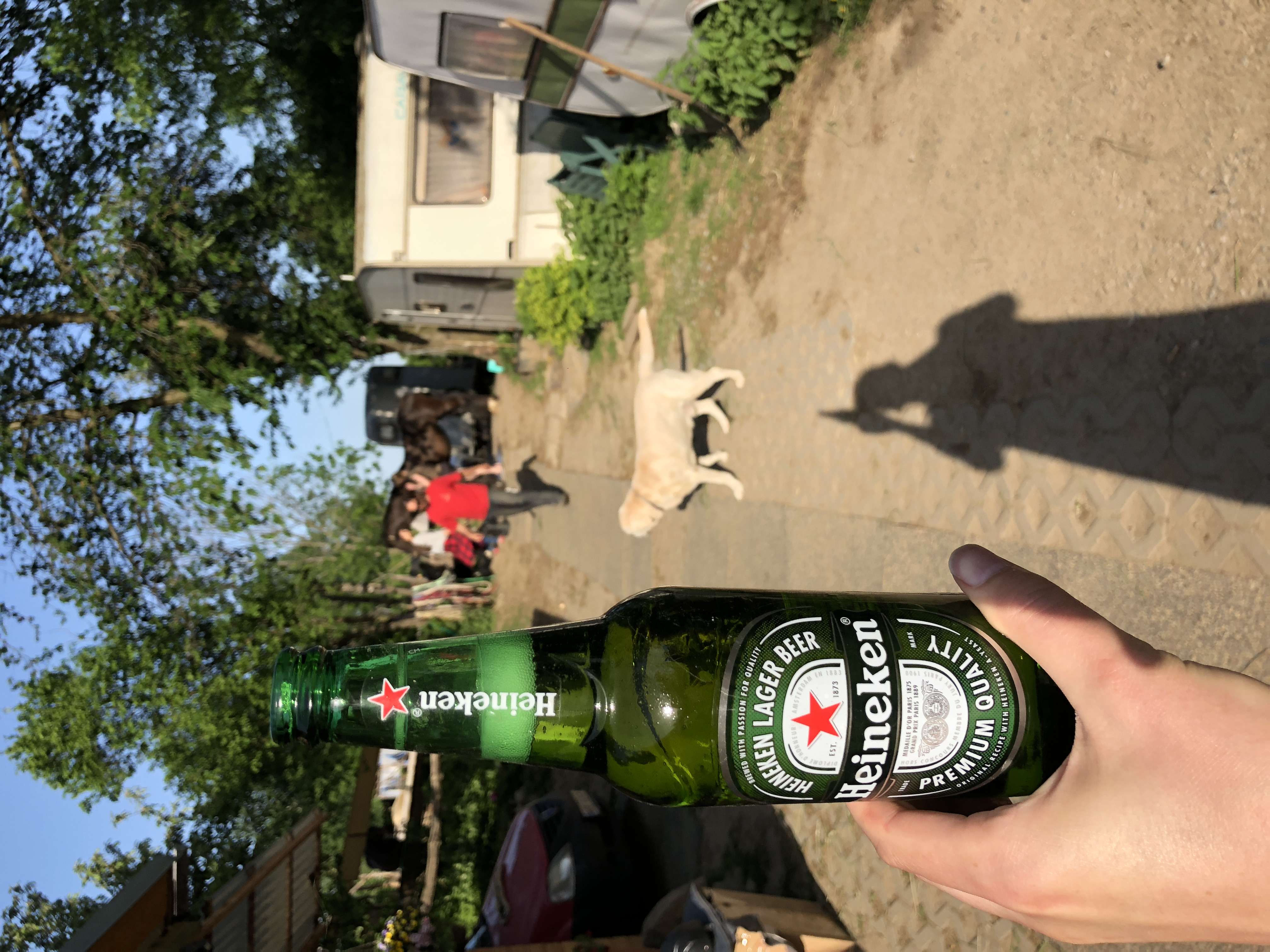 Ruka drží láhev Heineken Lager Beer, v pozadí pes a lidé venku