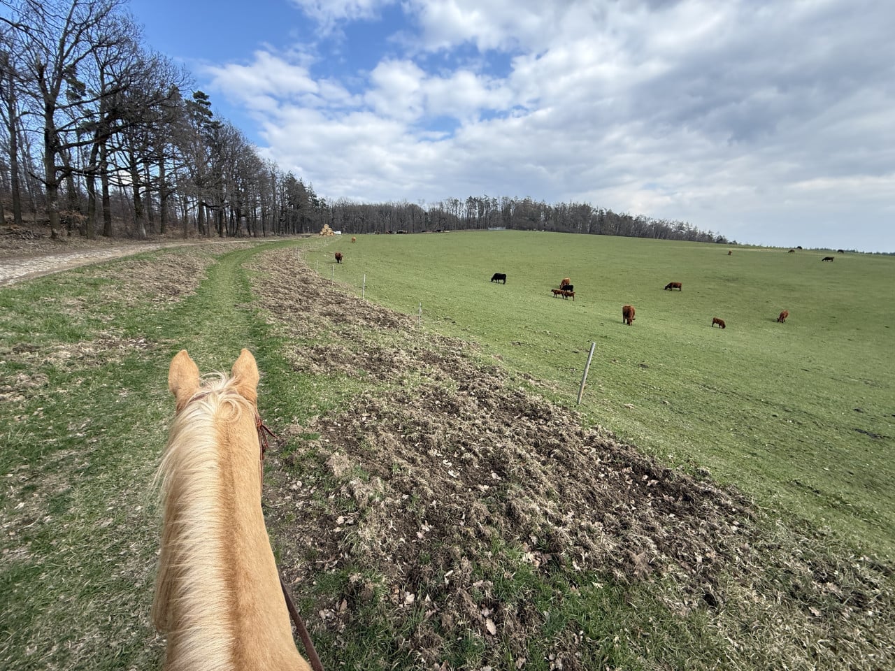 Když se Moravský kras probudí: první jarní výjížďka na Frosty, která mi připomněla, proč to celé dělám