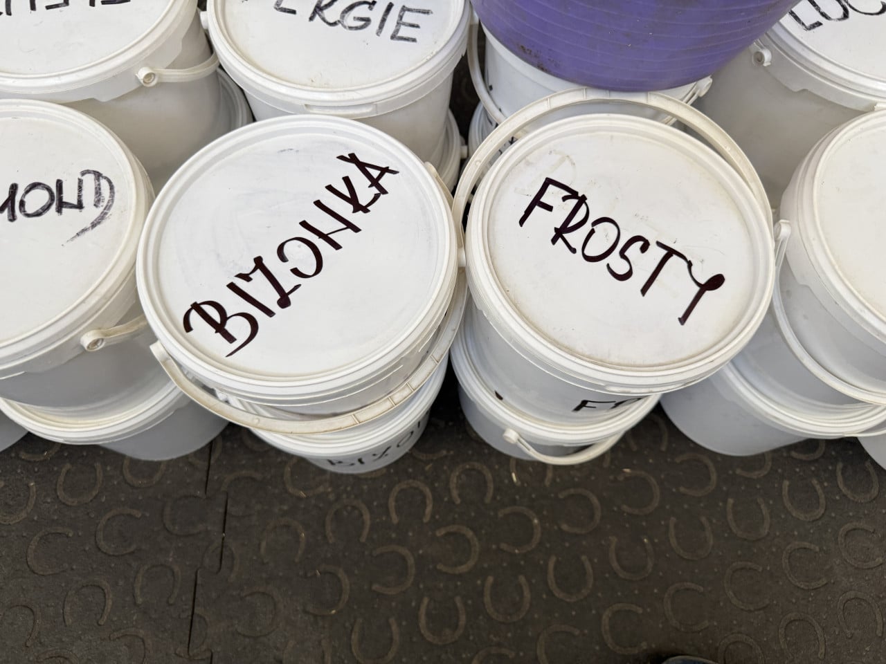 Stoh bílých kyblíků s ručně psanými názvy krmiv a doplňků: BINONKA, FROSTY.