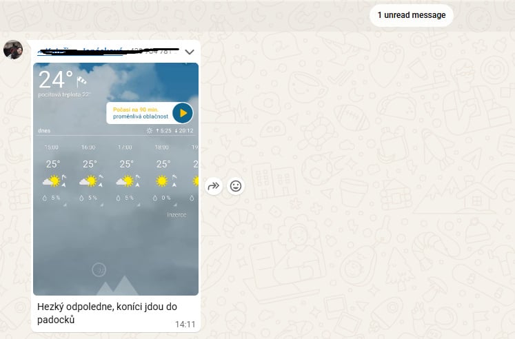 Snímek chatu s předpovědí počasí a zprávou Hezký odpoledne, koníci jdou do padocků