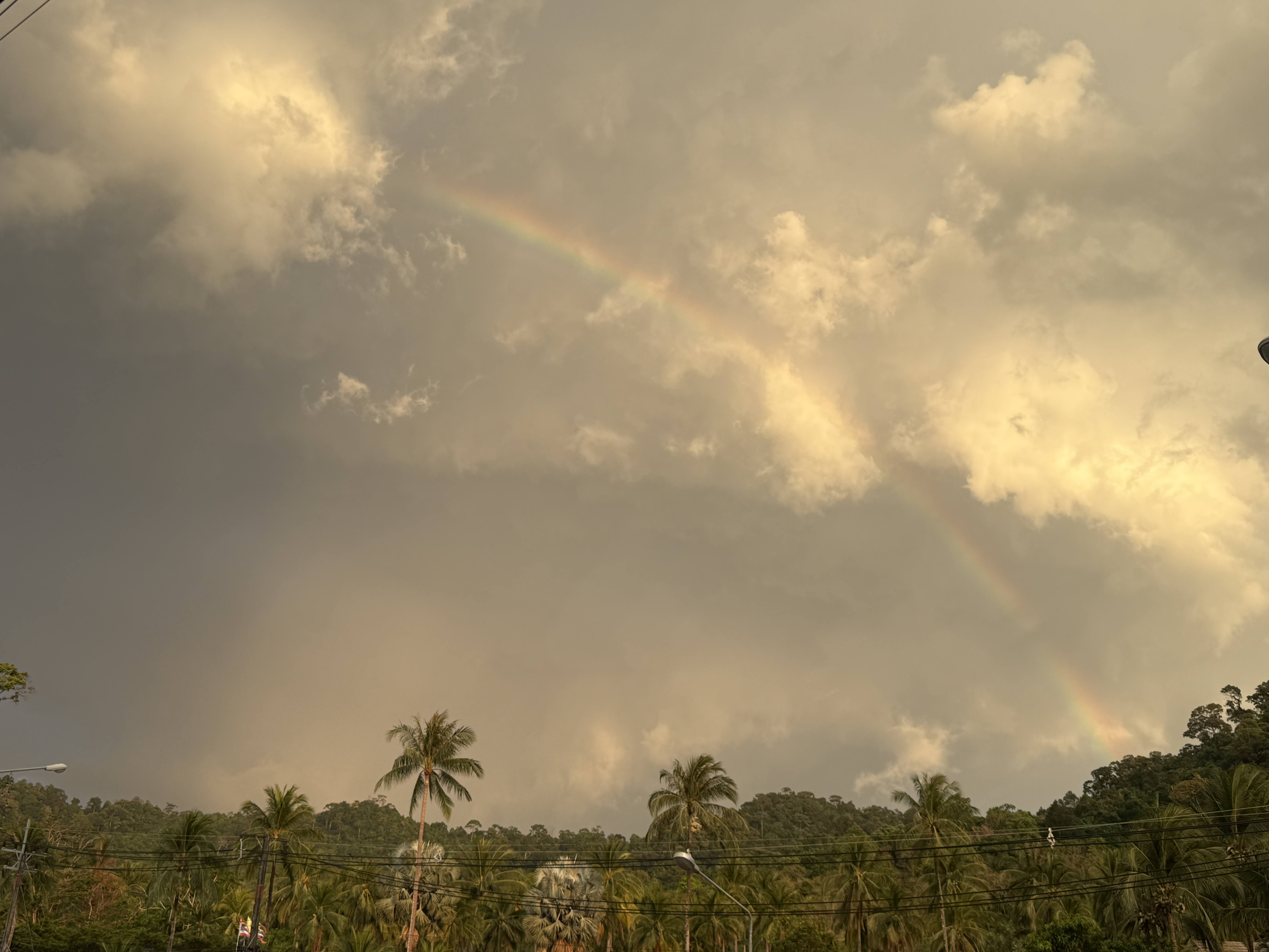 Dvojitá duha na zatažené obloze nad palmami a elektrickými dráty