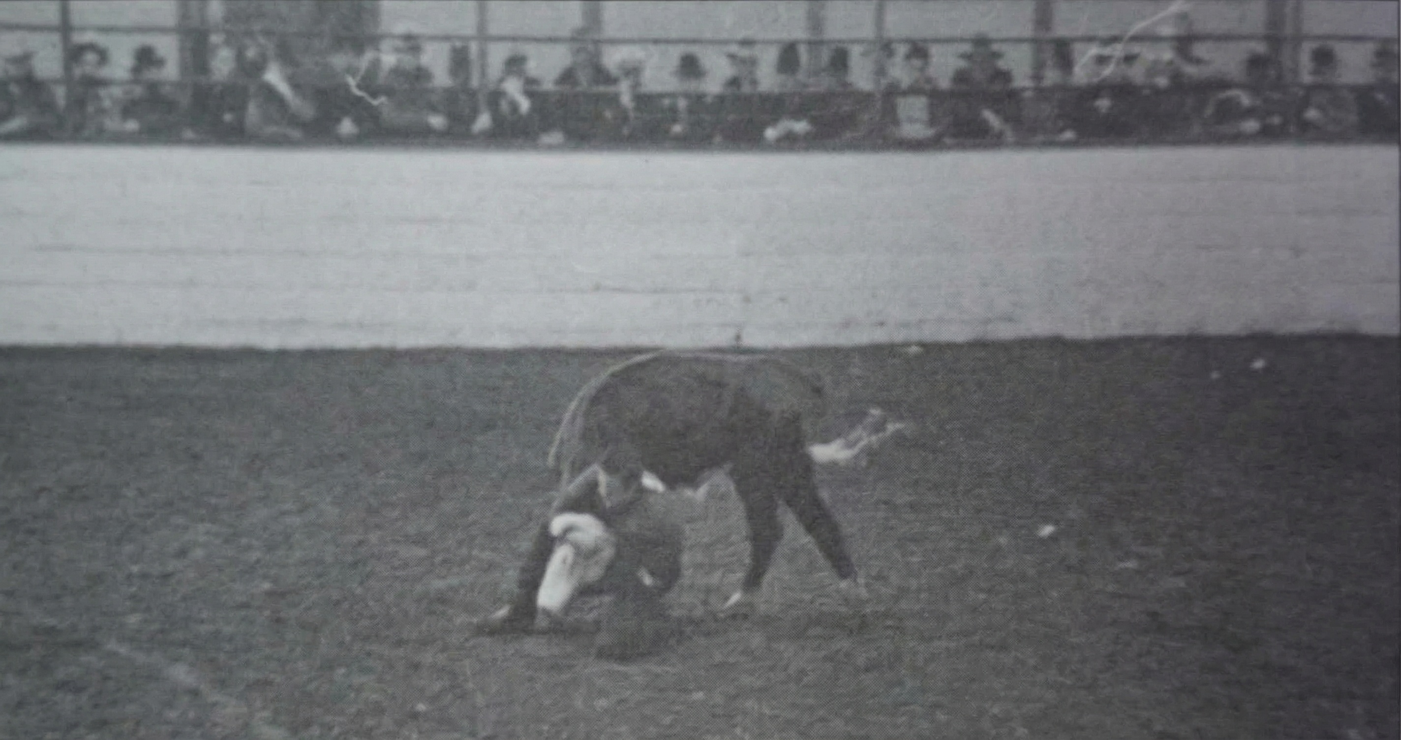 Fort Worth: Část šestá - Zábava na výstavě dobytka