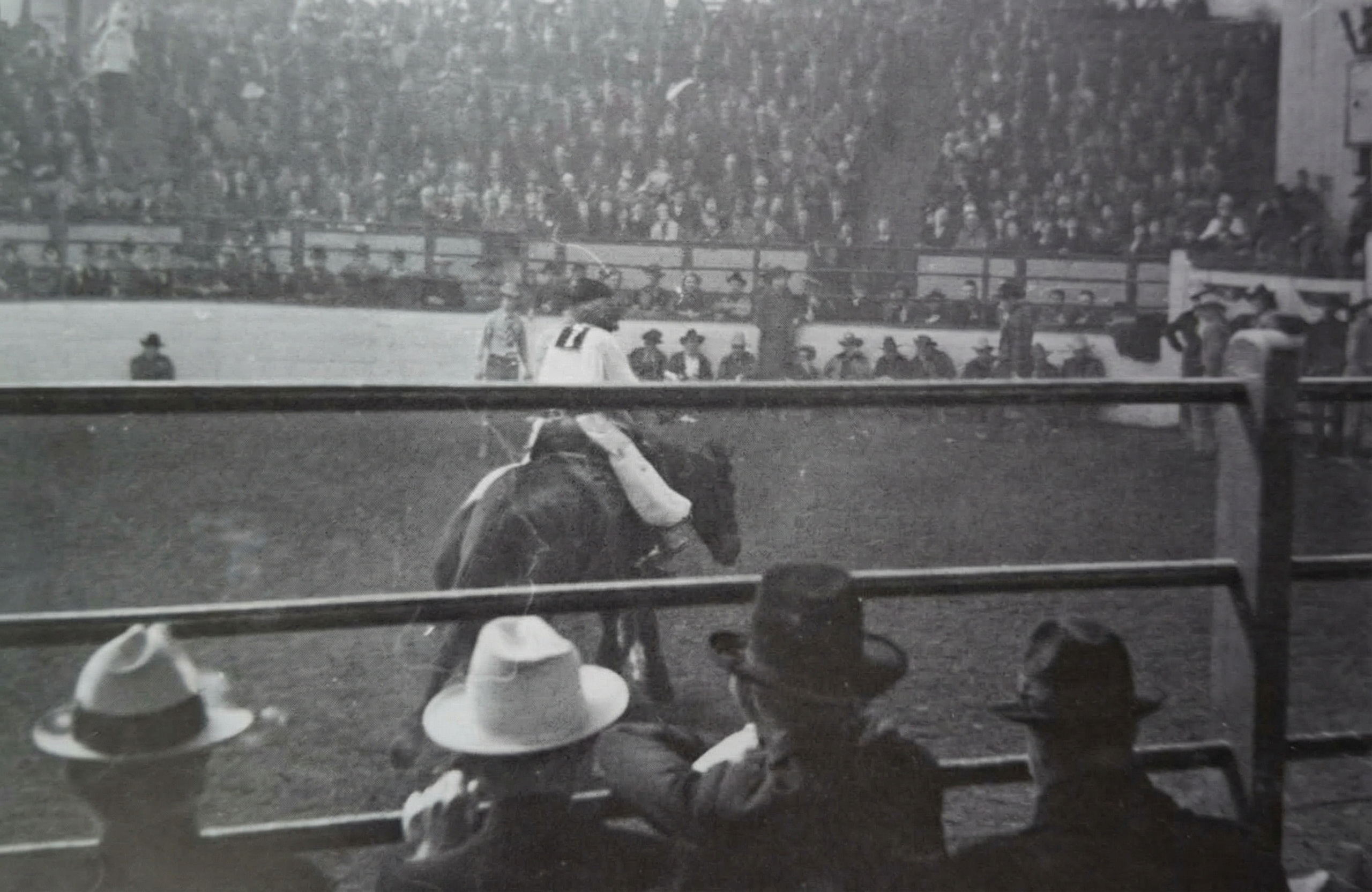 Soutěžící s číslem 1 na skákajícím broncu.