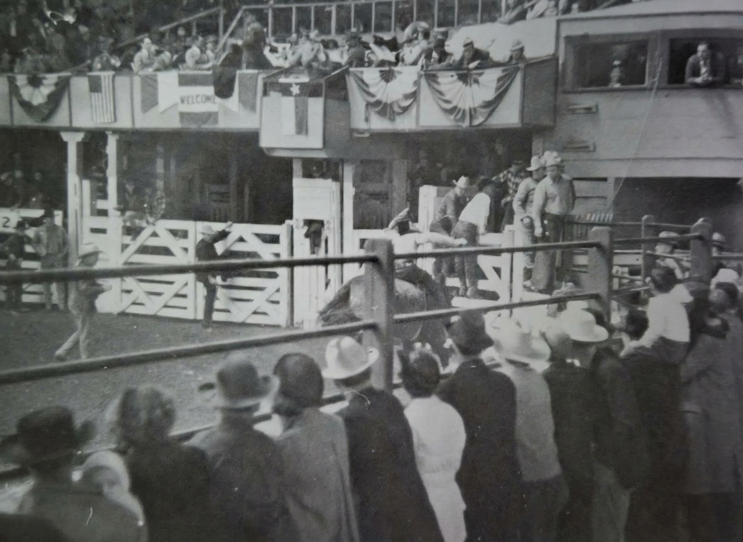 Skákající kůň Desolation v aréně rodea.