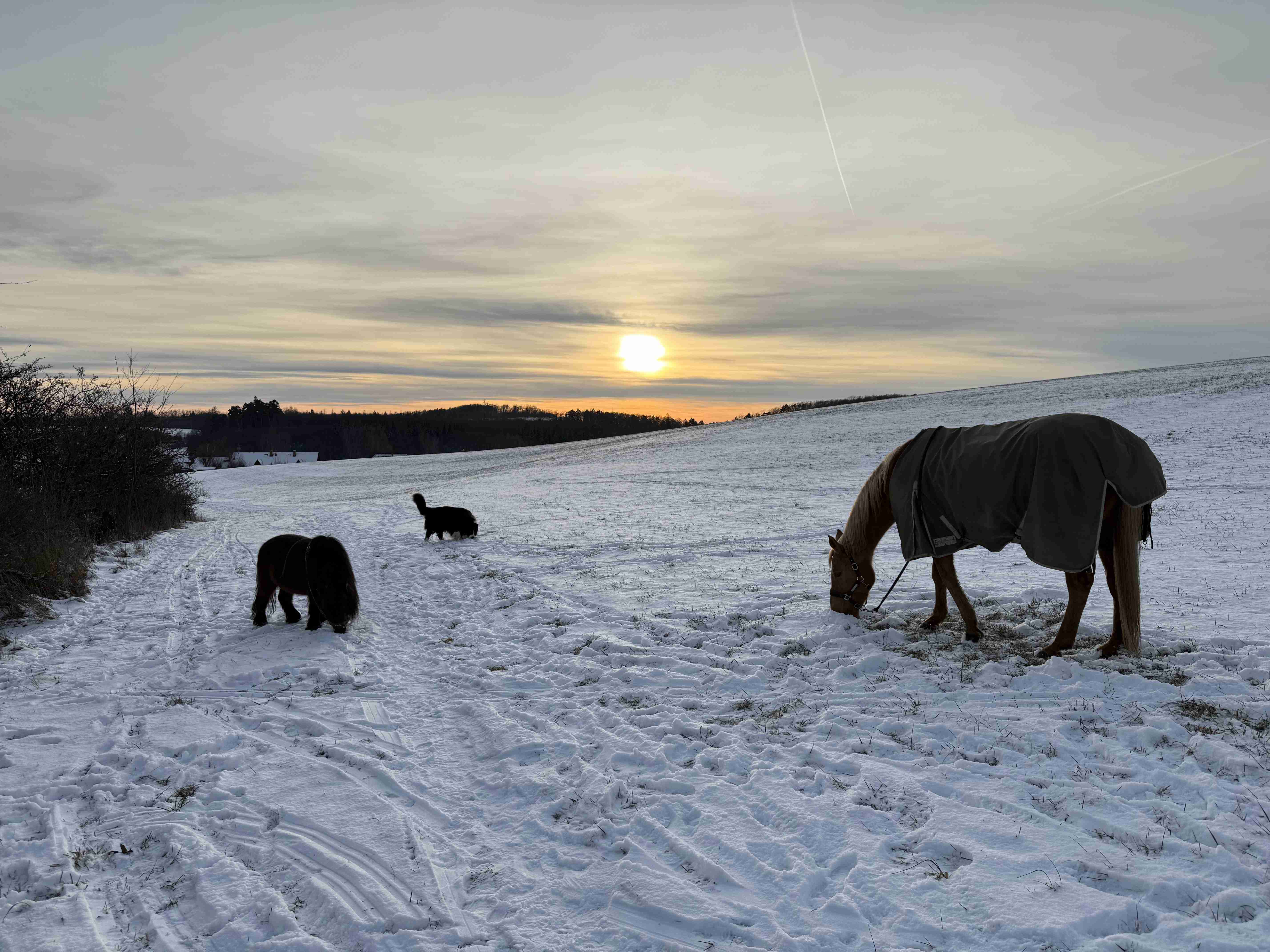 Odpočinkový Silvestr doma po nemoci, deka, čaj a klidná atmosféra