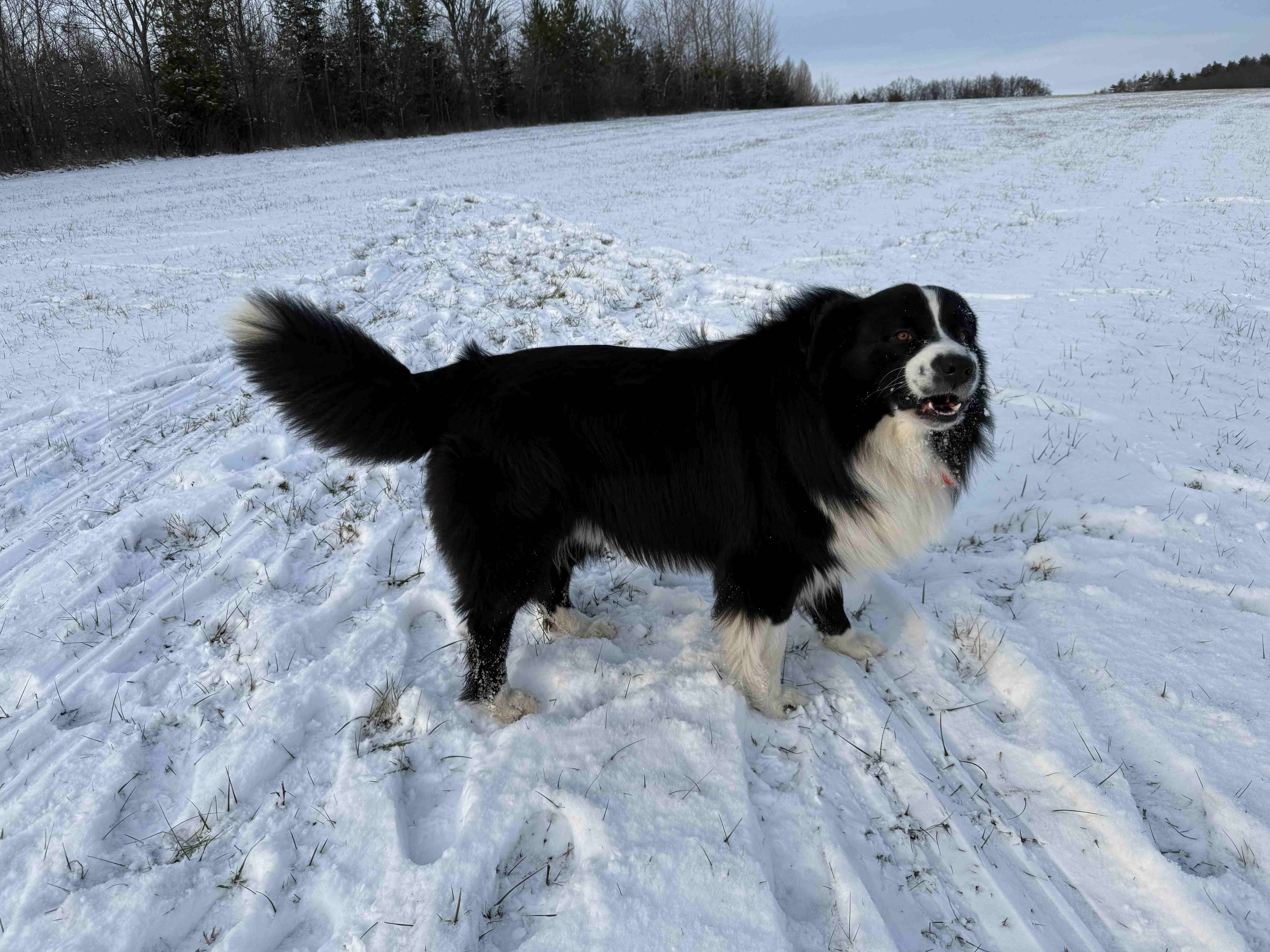 Odpočinkový Silvestr po nemoci: deka, čaj a televize místo párty doma