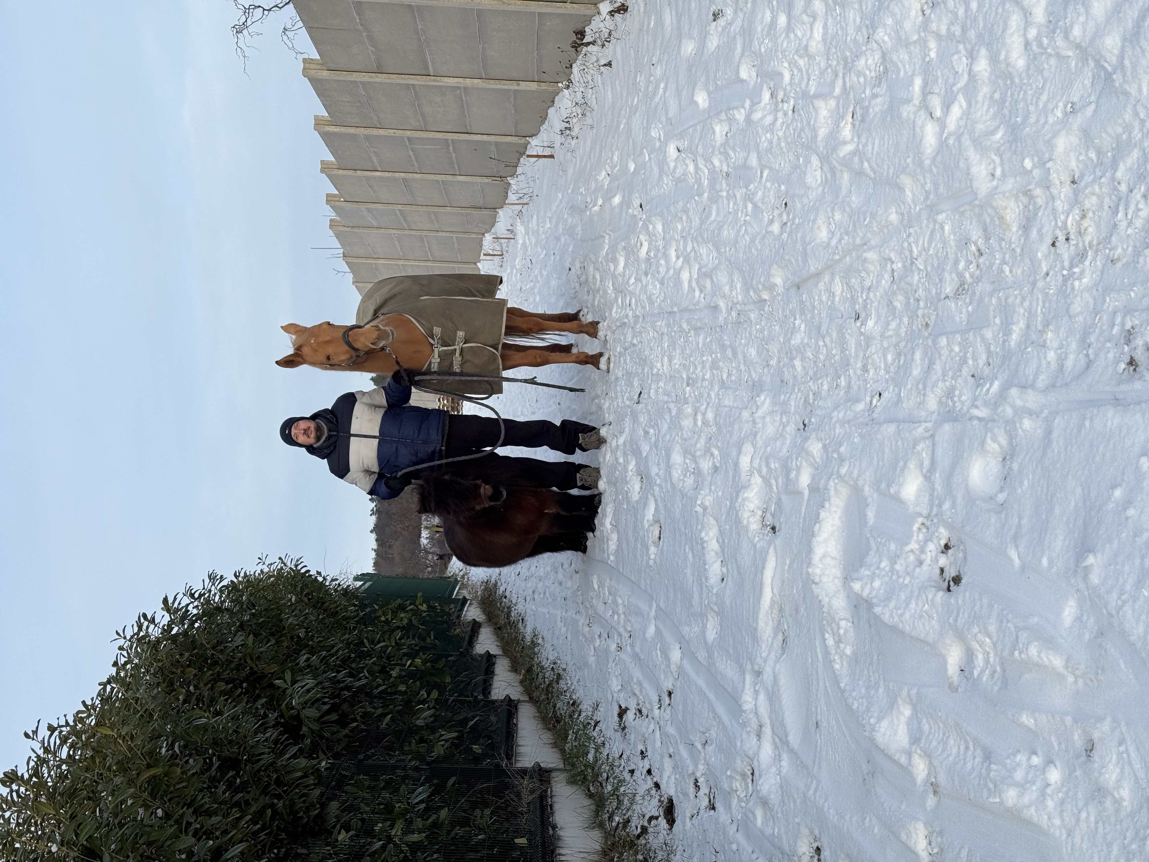 Odpočinek na gauči se čajem, klidný silvestr doma po nemoci.