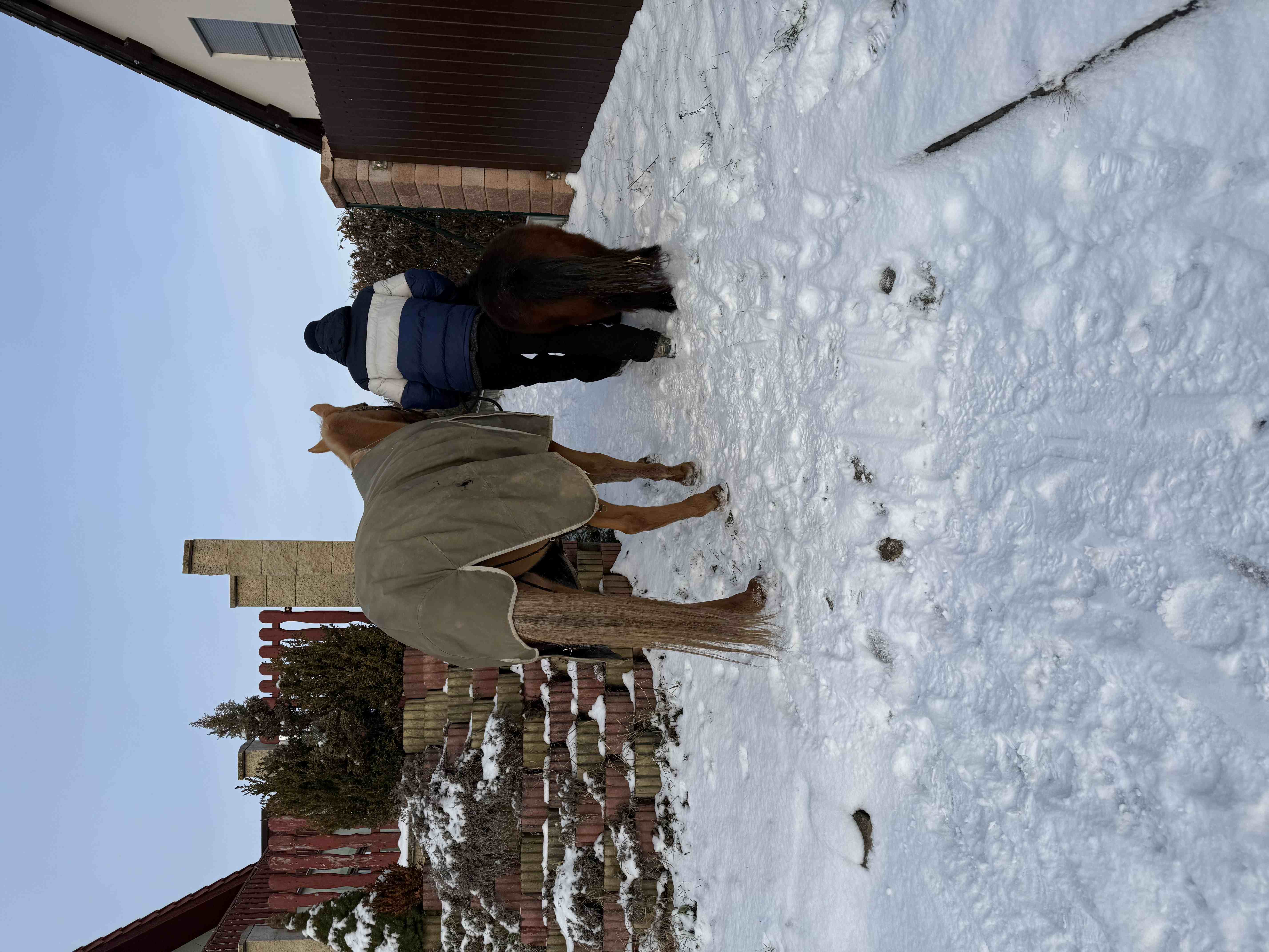 Unavený autor po nemoci na gauči s čajem, klidný silvestrovský večer