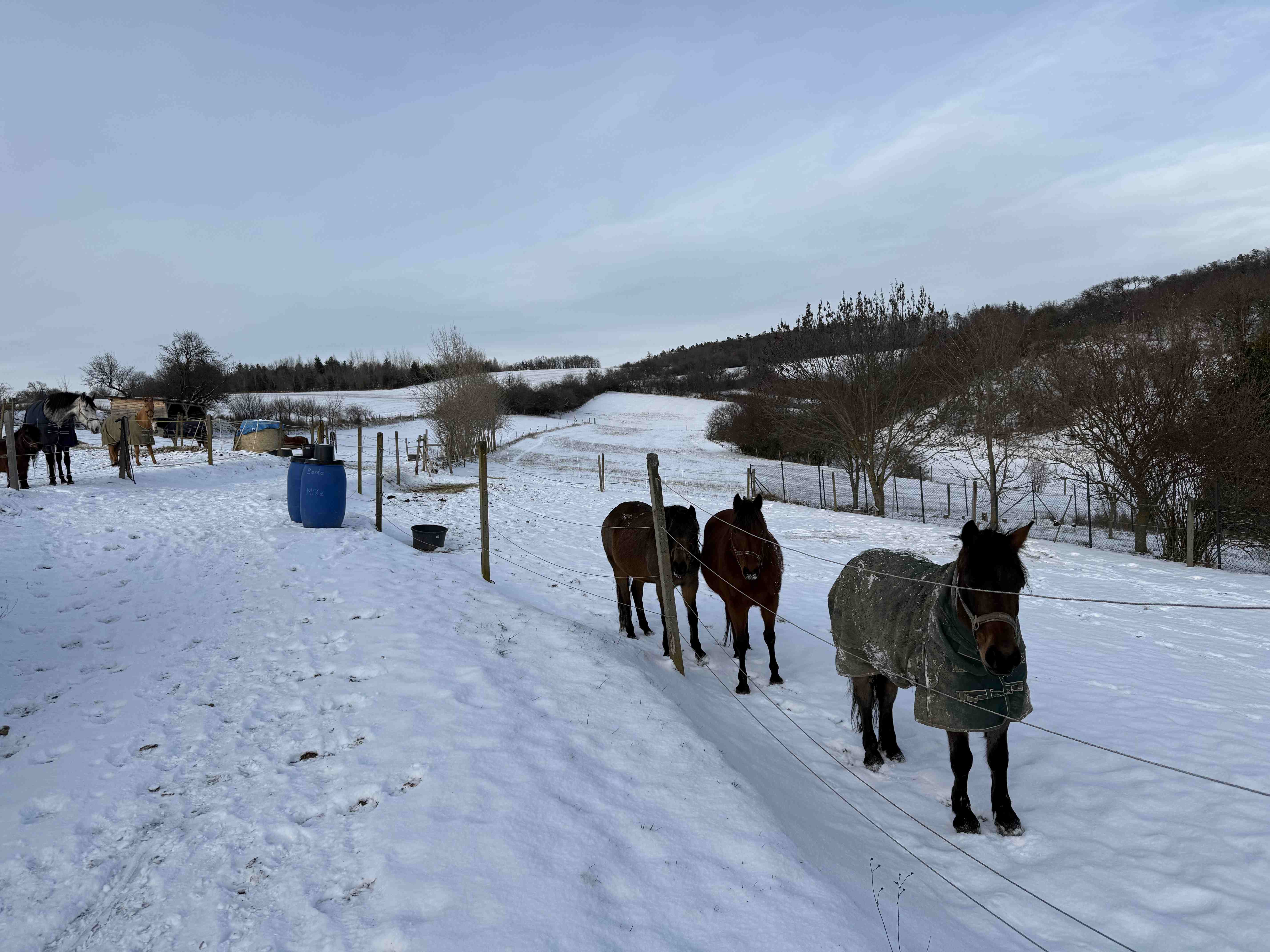 Lazy silvestrovský večer doma: deka, čaj a klid místo párty venku