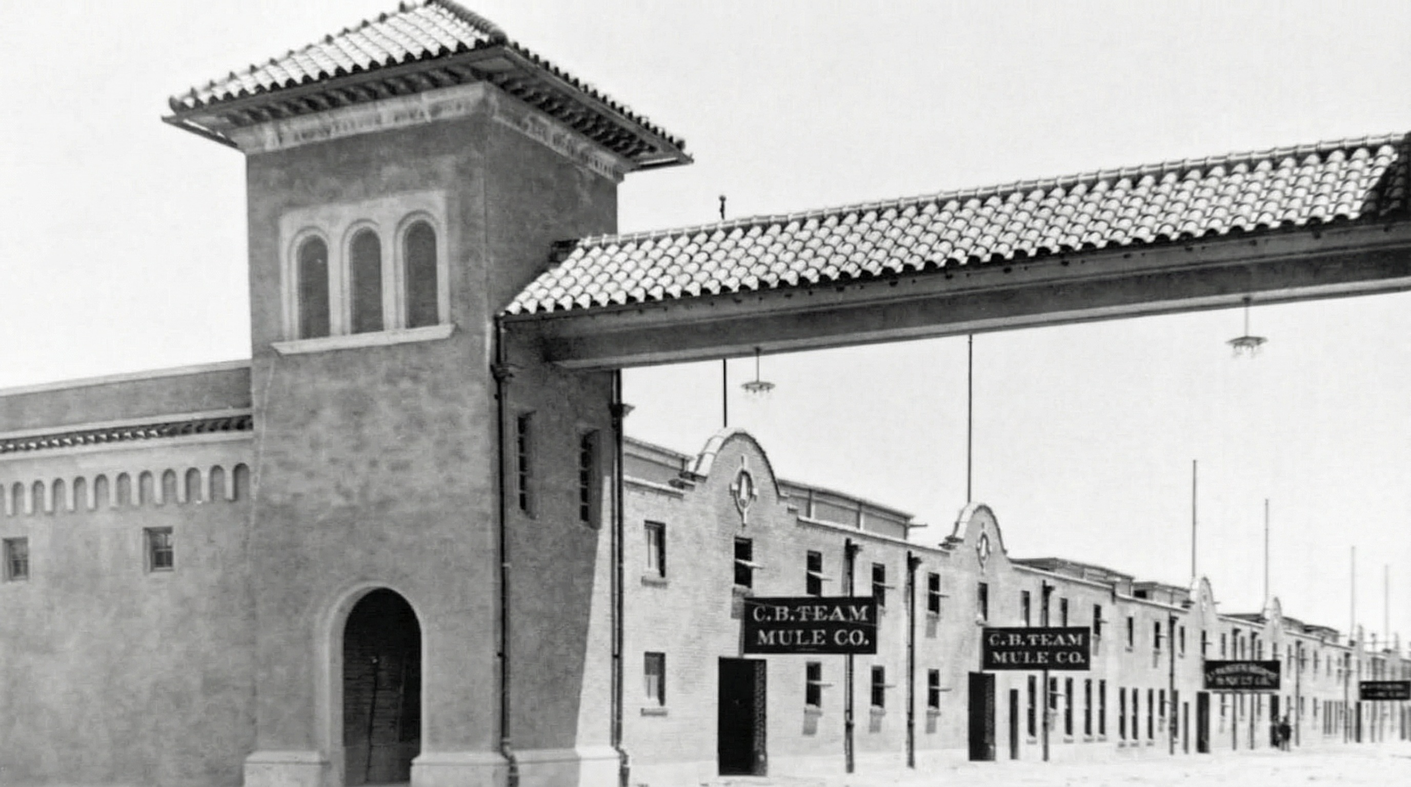 Fort Worth: Část desátá - Doba rozkvětu hospodářských zvířat