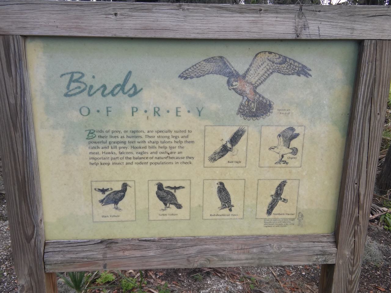 Dřevěná informační cedule Birds of Prey s kresbami dravých ptáků and textem.