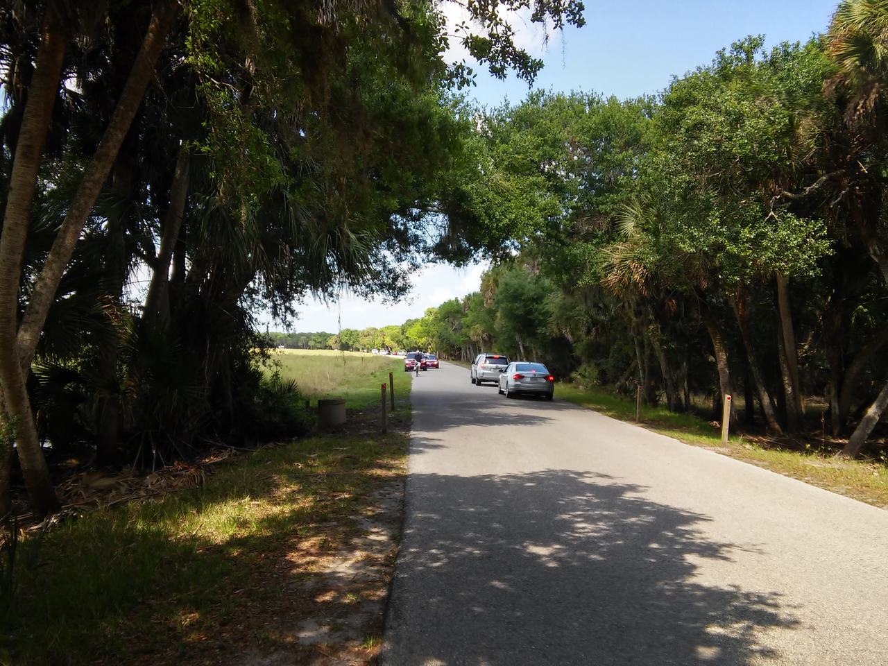 Silnice v Myakka River State Parku mezi stromy, projíždějící auta a otevřená louka.