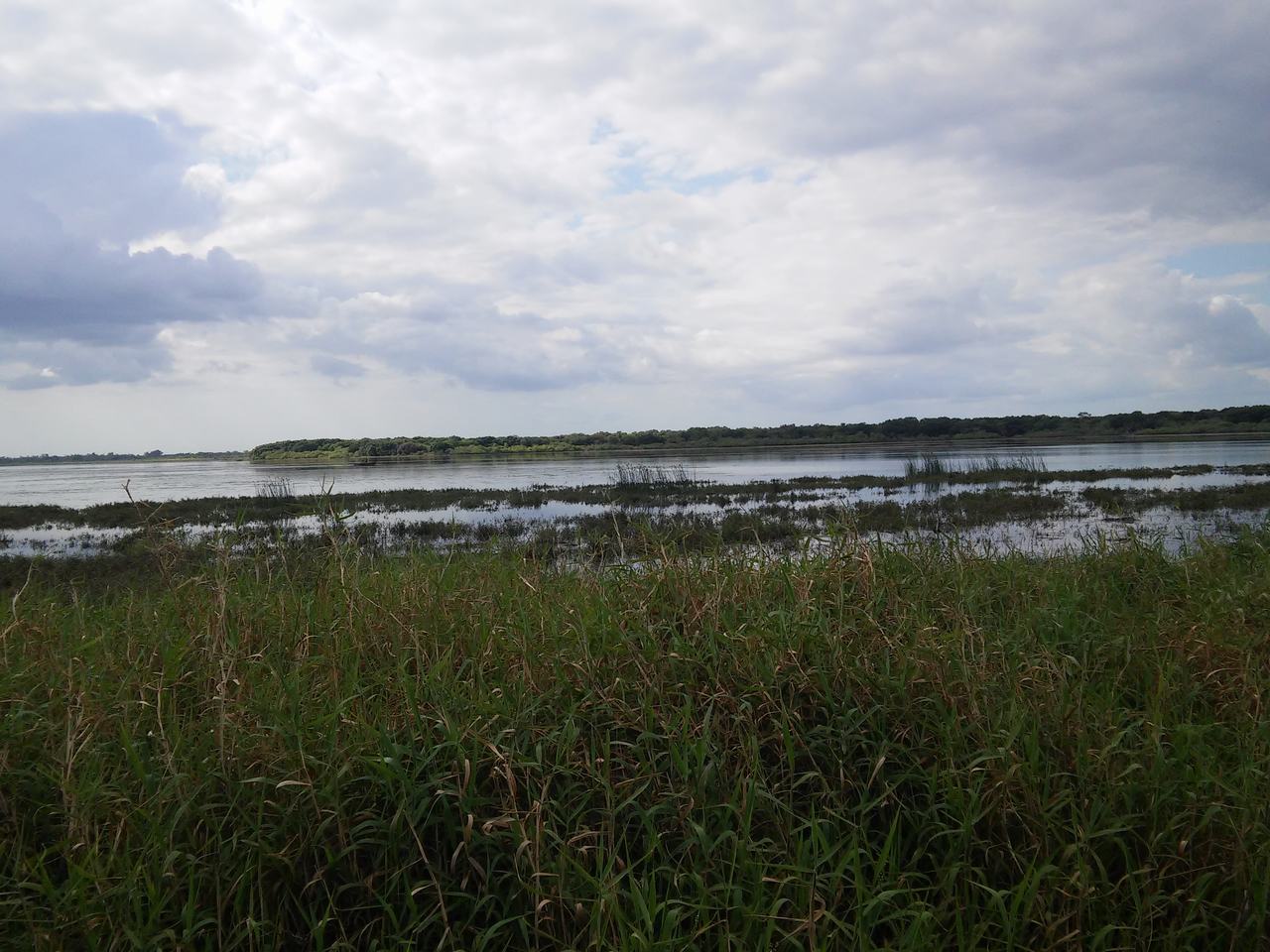 Travnaté břehy a klidná vodní hladina pod zataženou oblohou