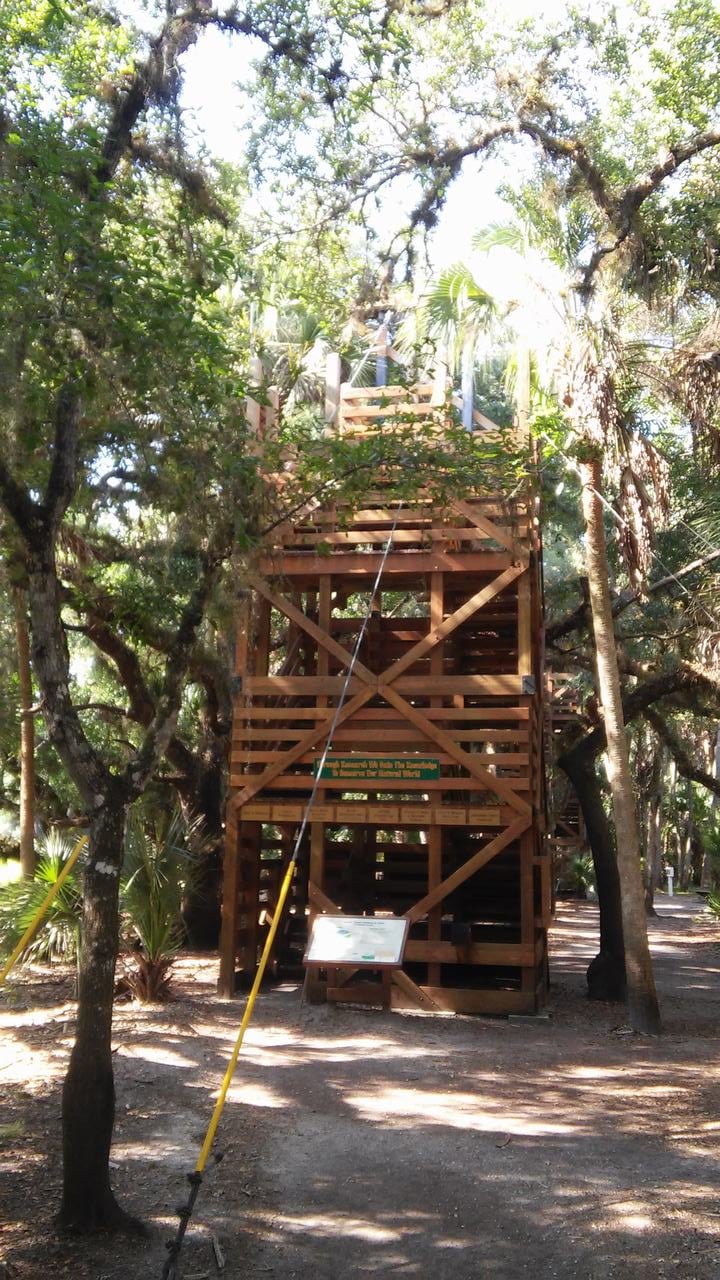 Dřevěná vyhlídková věž v hustém lesním porostu s palmami a cedulí.