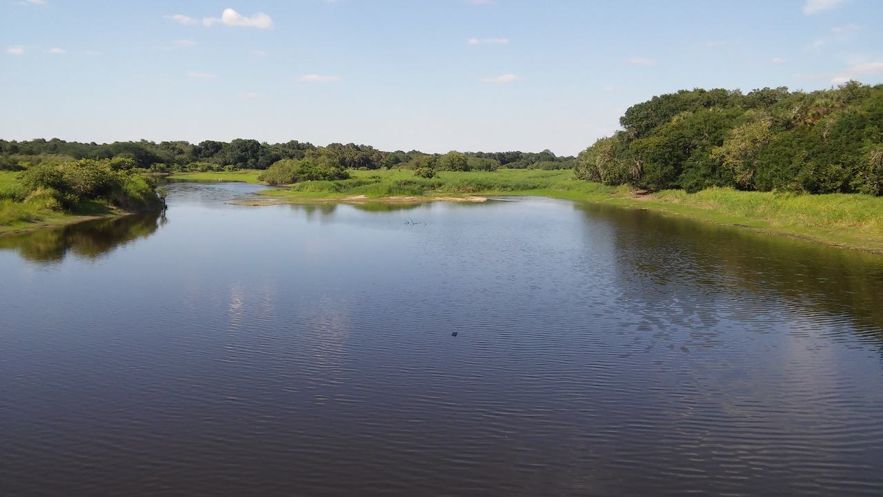 Klidná řeka v Myakka River State Park obklopená zelenými porosty a oblohou