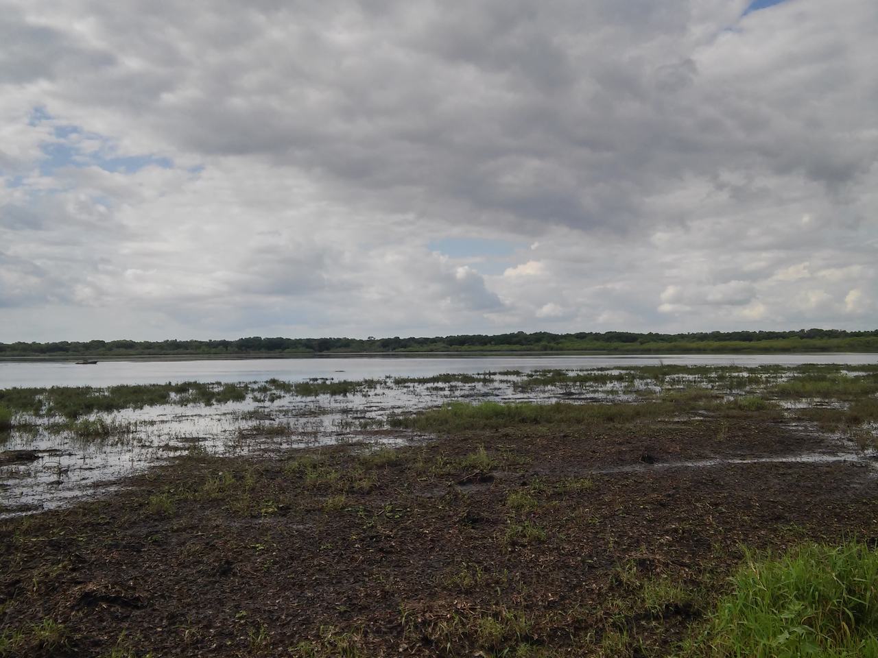 Zamokřená mokřina s vodní hladinou, travinami a zataženou oblohou