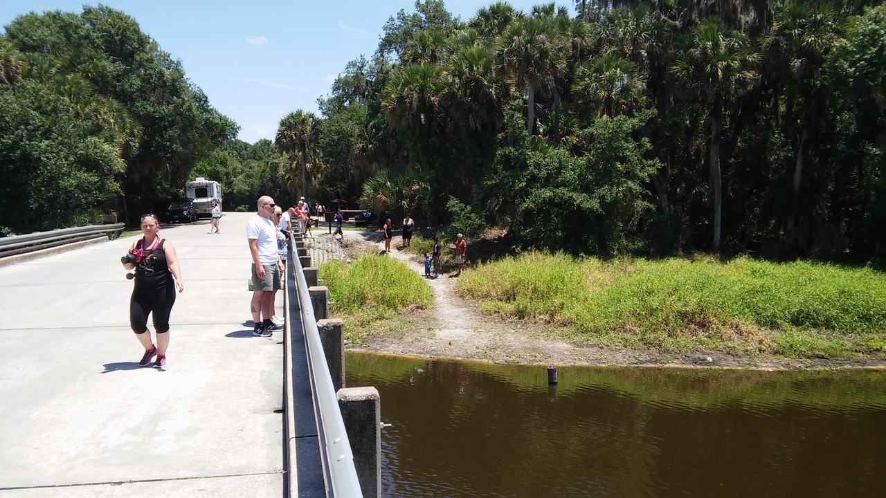 Turisté na mostě nad řekou v tropickém parku, obklopení palmami.