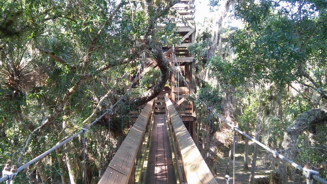 Visutý dřevěný most v hustém lesním porostu Myakka River State Parku