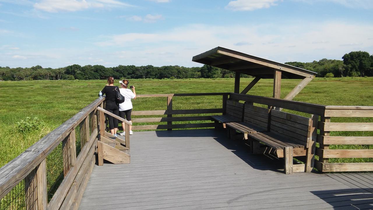Dvě ženy na vyhlídkové plošině nad rozlehlou zelenou mokřinou v Myakka River State Park.