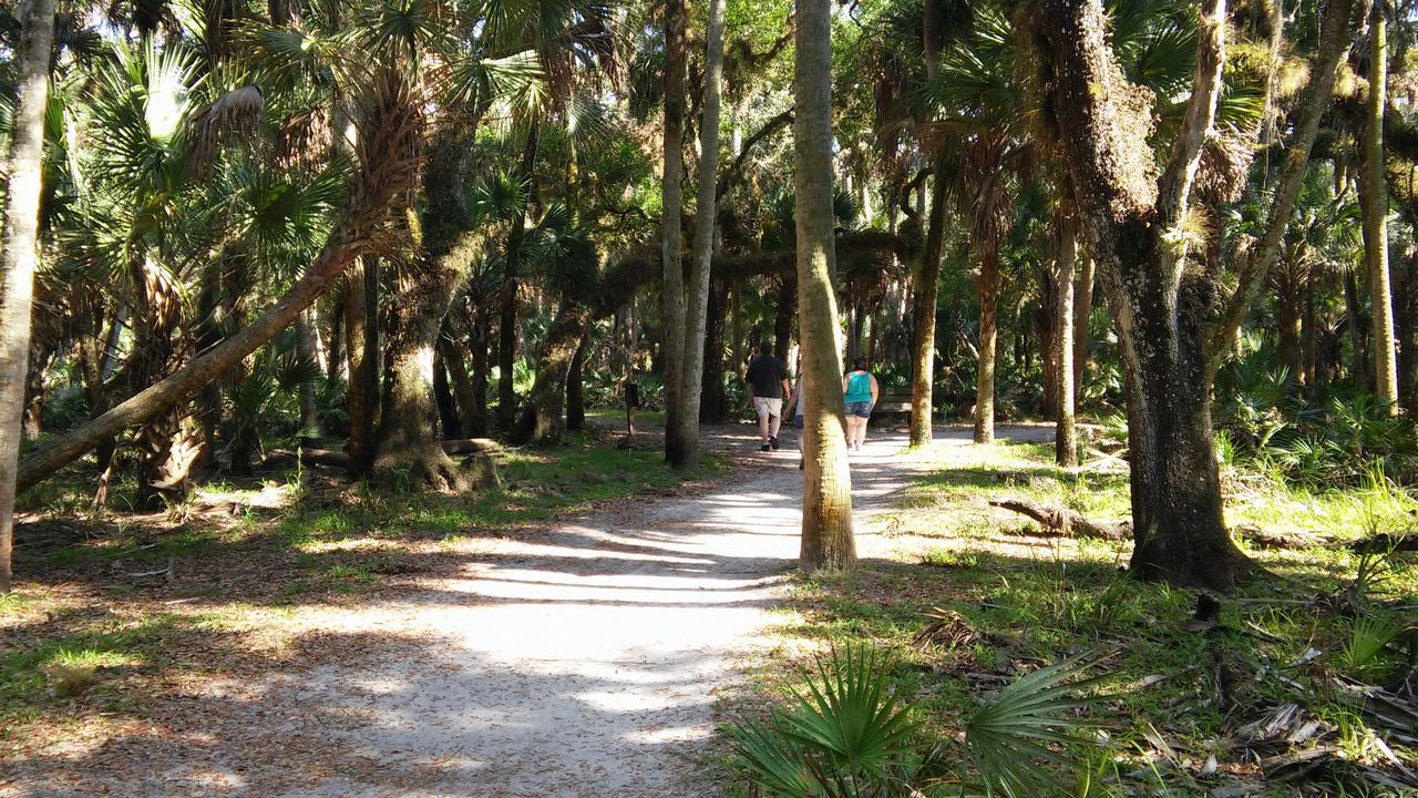 Lesní stezka v subtropickém parku s palmami a dvěma chodci.