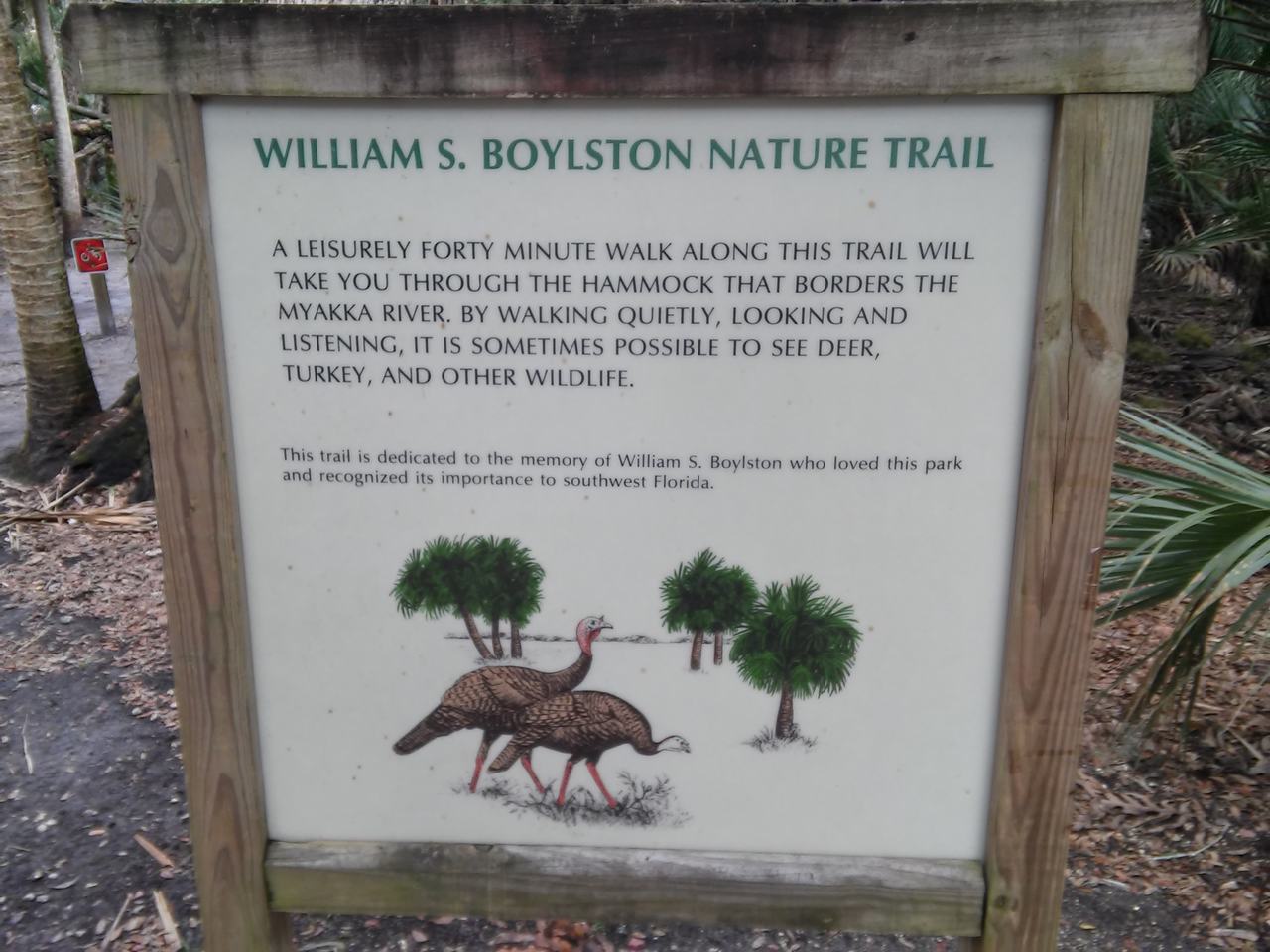 Informační cedule William S. Boylston Nature Trail v lese s obrázkem krocanů.