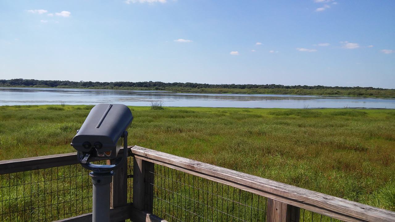 Vyhlídková plošina s dalekohledem nad mokřady a řekou pod modrou oblohou