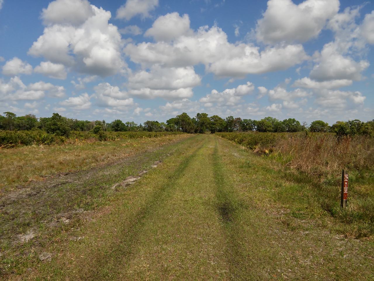 Zelená travnatá cesta v otevřené floridské krajině pod oblačnou oblohou
