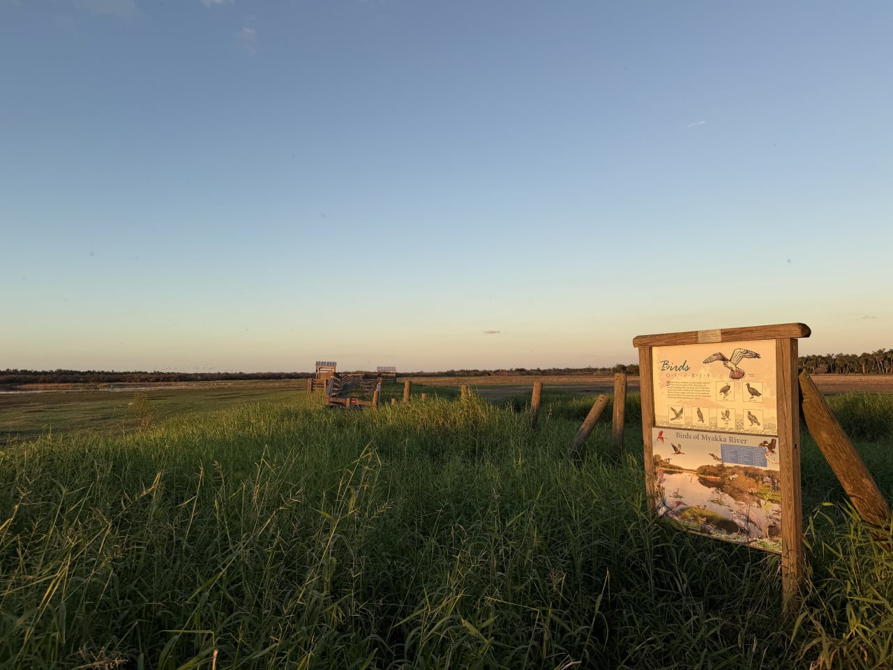 Vyhlídka v mokřadu s informačními tabulemi Birds of Myakka River a travou při západu slunce