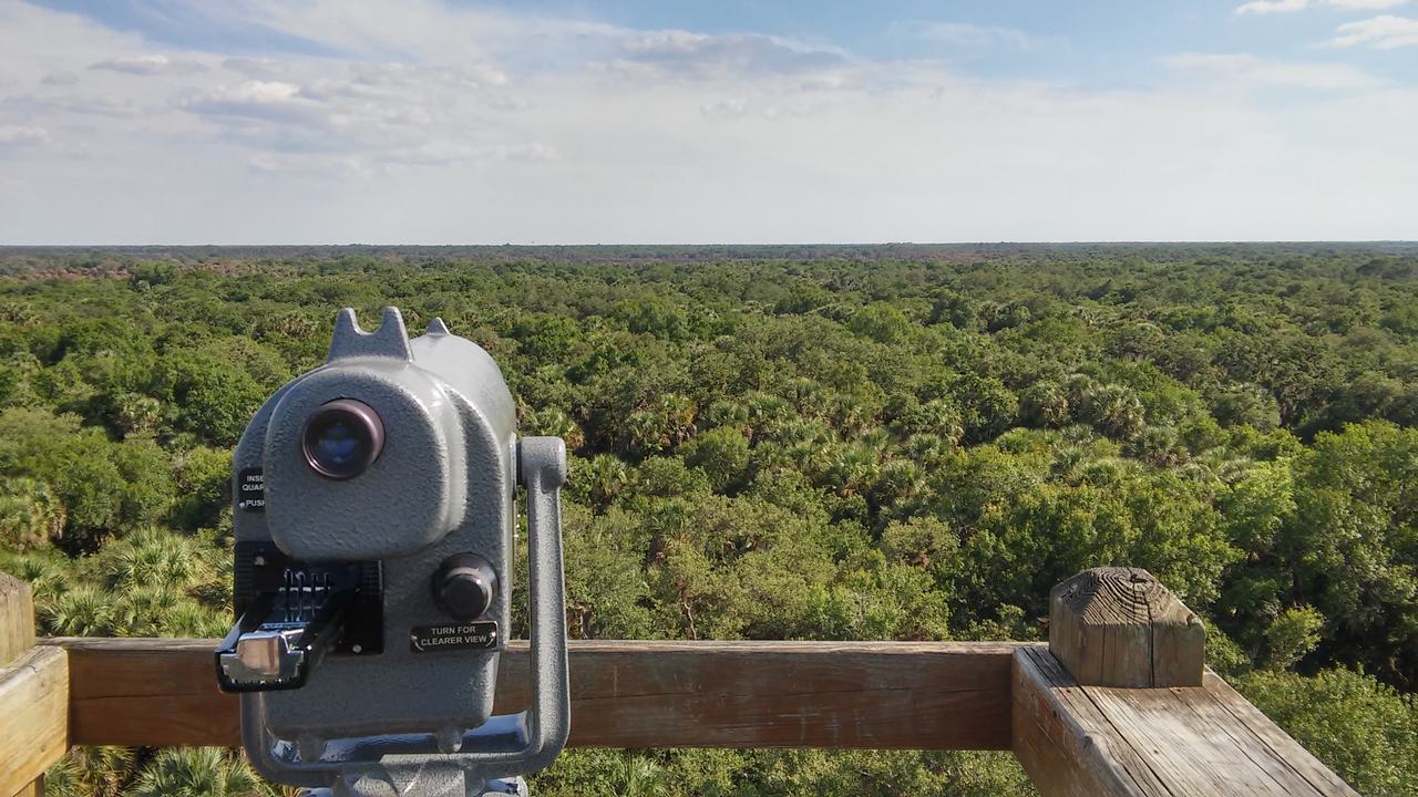 Dalekohled na dřevěné vyhlídce nad nekonečným zeleným lesem a oblohou