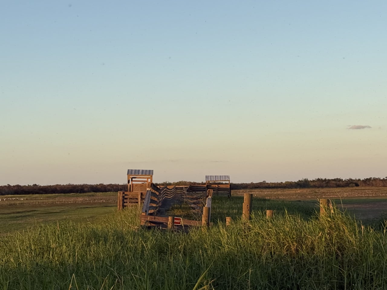 Dřevěná vyhlídková plošina nad travnatými mokřady při západu slunce