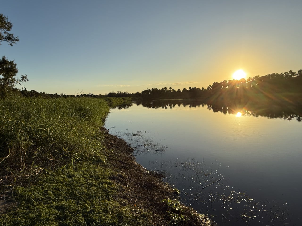 Západ slunce nad klidnou řekou, travnatý břeh a odraz stromů ve vodě