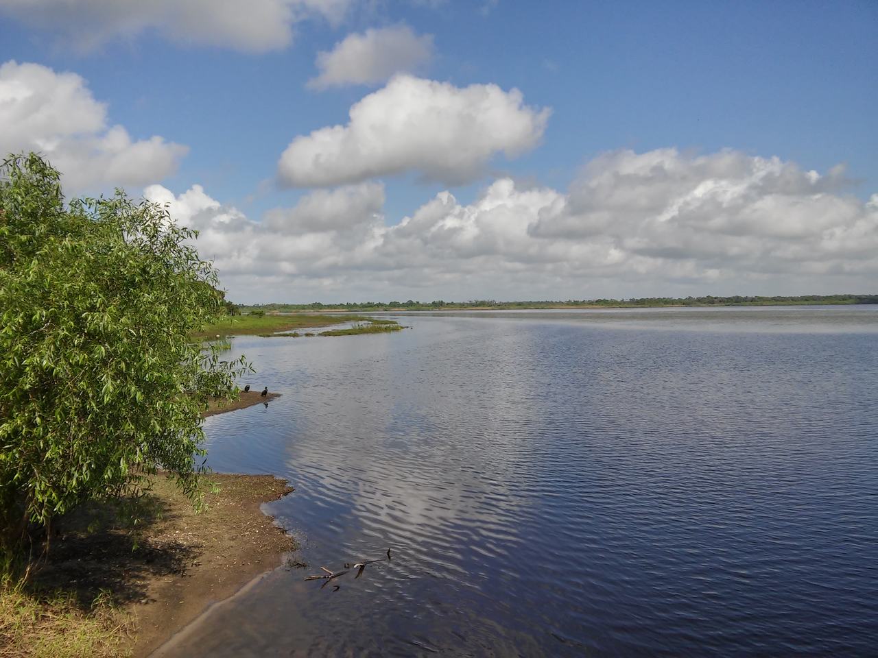Klidné jezero v Myakka River State Park s pobřežní vegetací a mraky