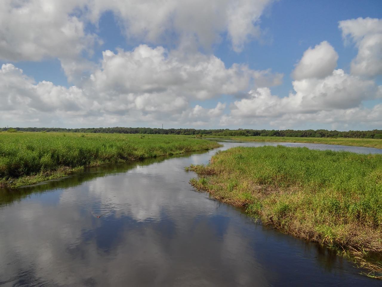 Klidná říční laguna v Myakka River State Park obklopená bažinatou trávou a mraky.