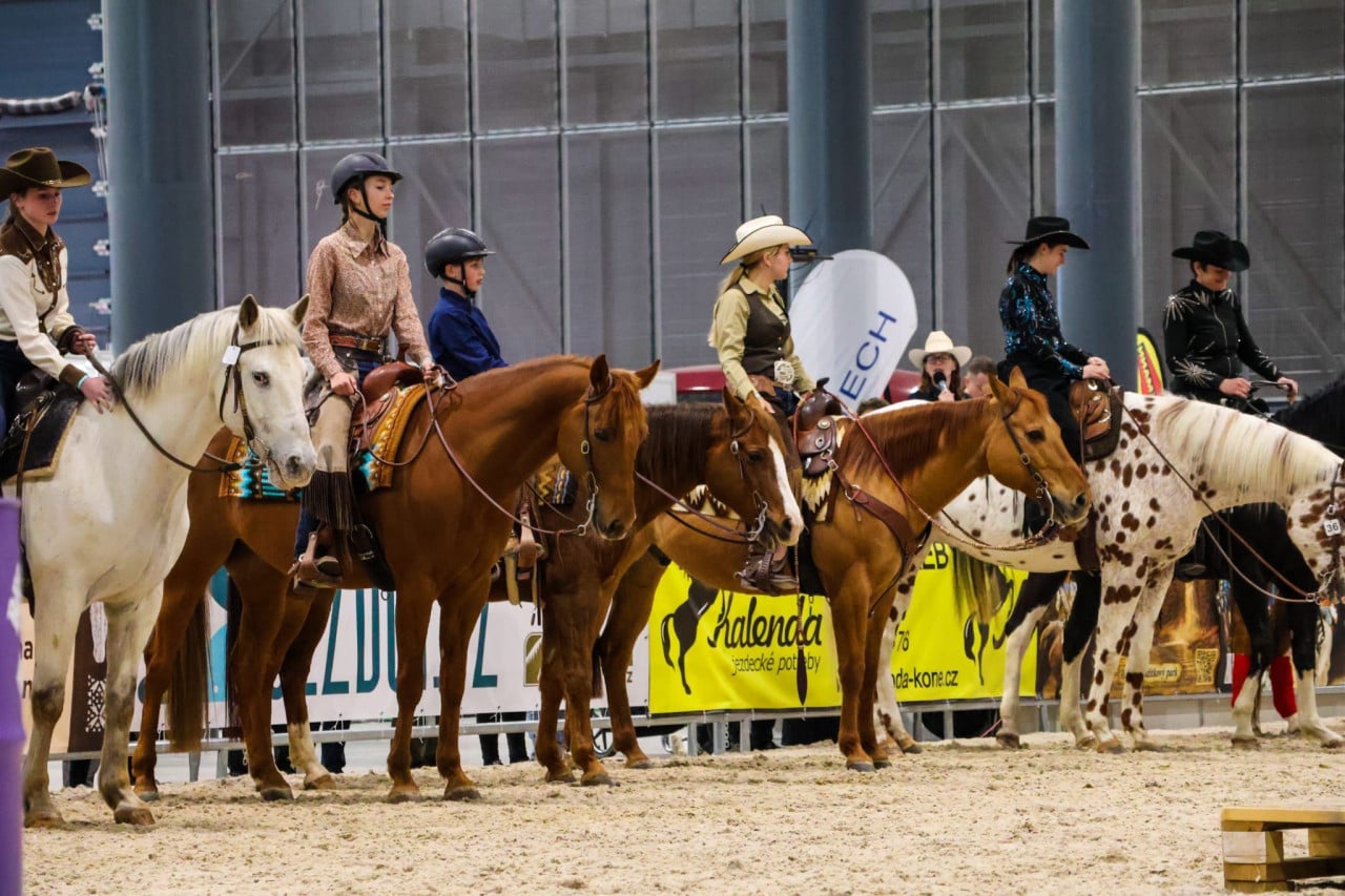 Jezdci v kovbojských kloboucích sedí na koních během halové ukázky v Brně