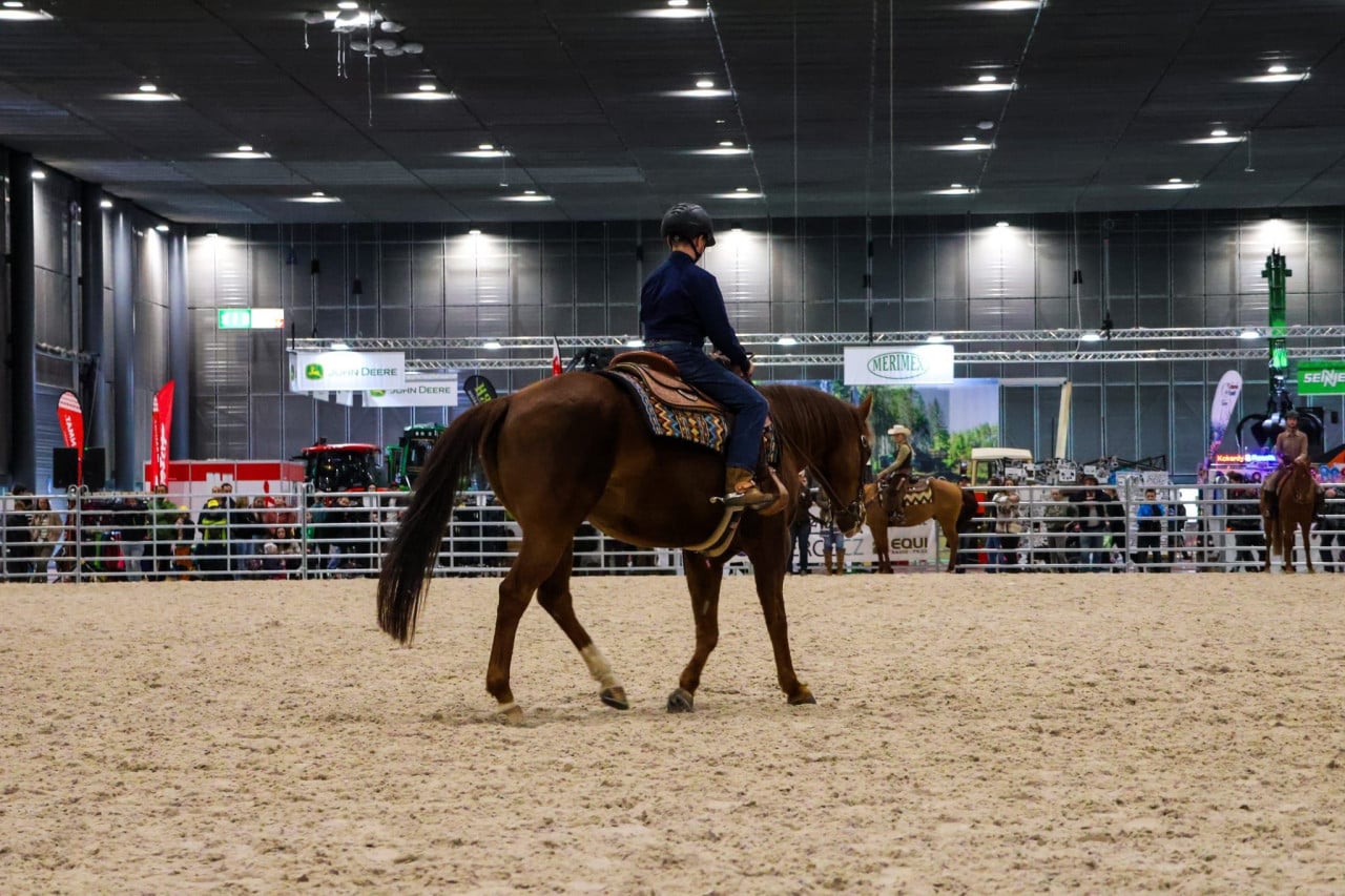 Jezdec na hnědém koni v kryté aréně na výstavě hospodářských zvířat, diváci v pozadí.