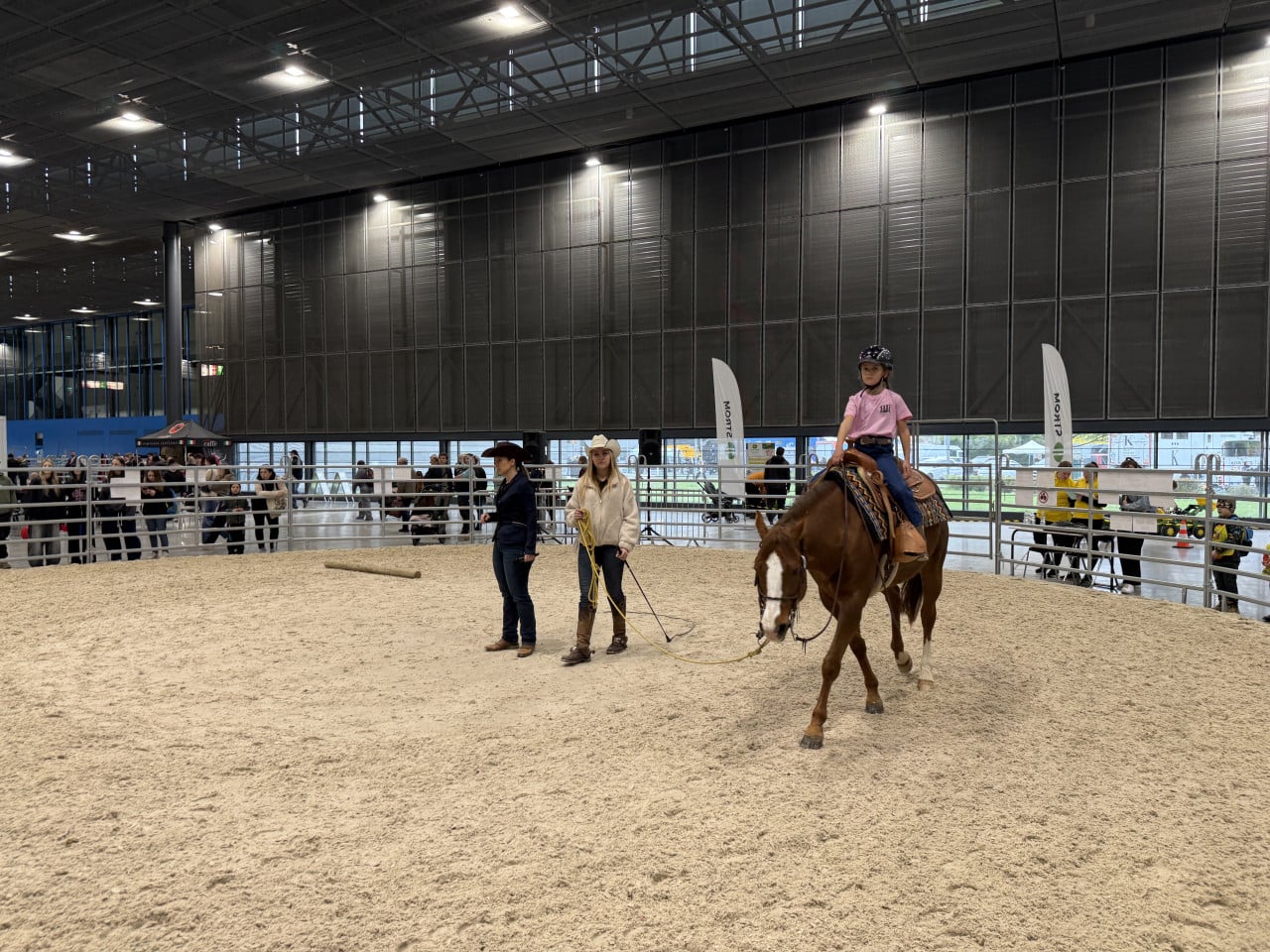 Dívka v helmě sedí na hnědém koni v kryté jezdecké aréně BVV Brno.