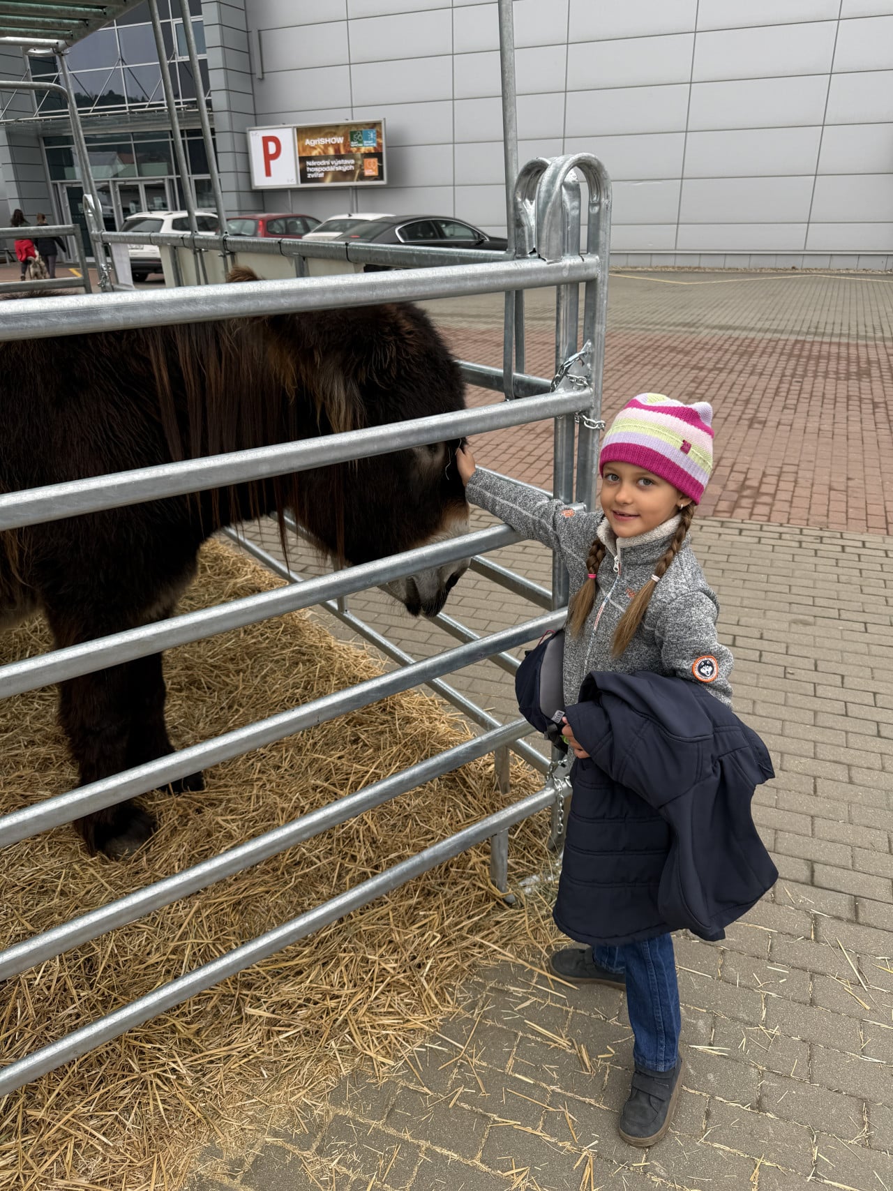 Dívka v čepici hladí koně v ohrádce u brněnského výstaviště BVV.