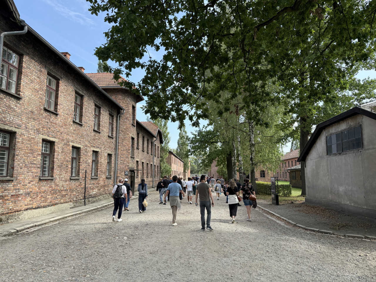 Návštěvníci kráčejí po cestě mezi cihlovými budovami a stromy v Auschwitz-Birkenau