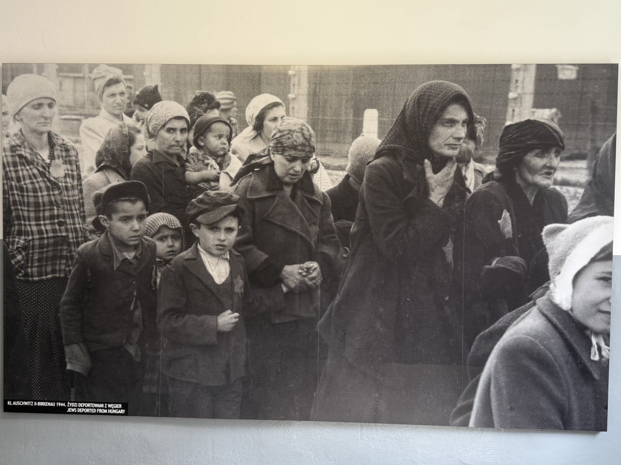 Černobílá fotografie deportovaných židů z Maďarska v Auschwitz-Birkenau, 1944.