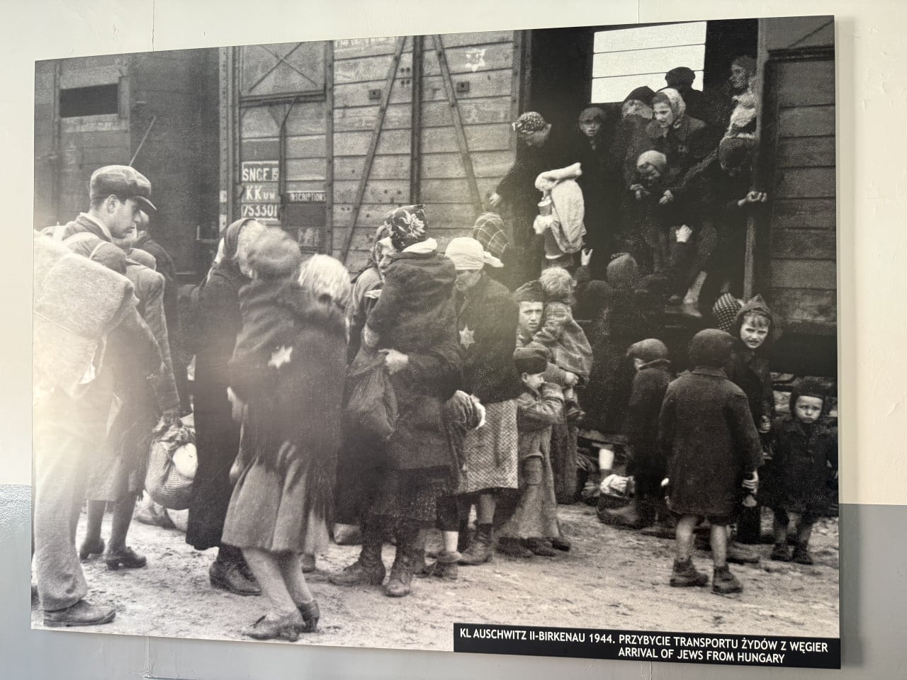 Fotografie židovského transportu do Auschwitz-Birkenau 1944 s dětmi u vagónu, nápis v popisku.