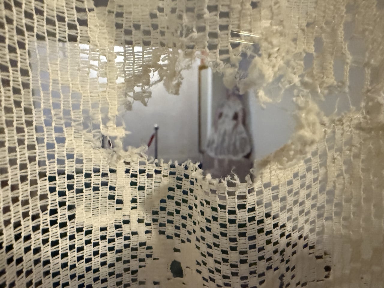 Roztrhaná krajková záclona před rozmazaným obrázkem malované postavy v interiéru.