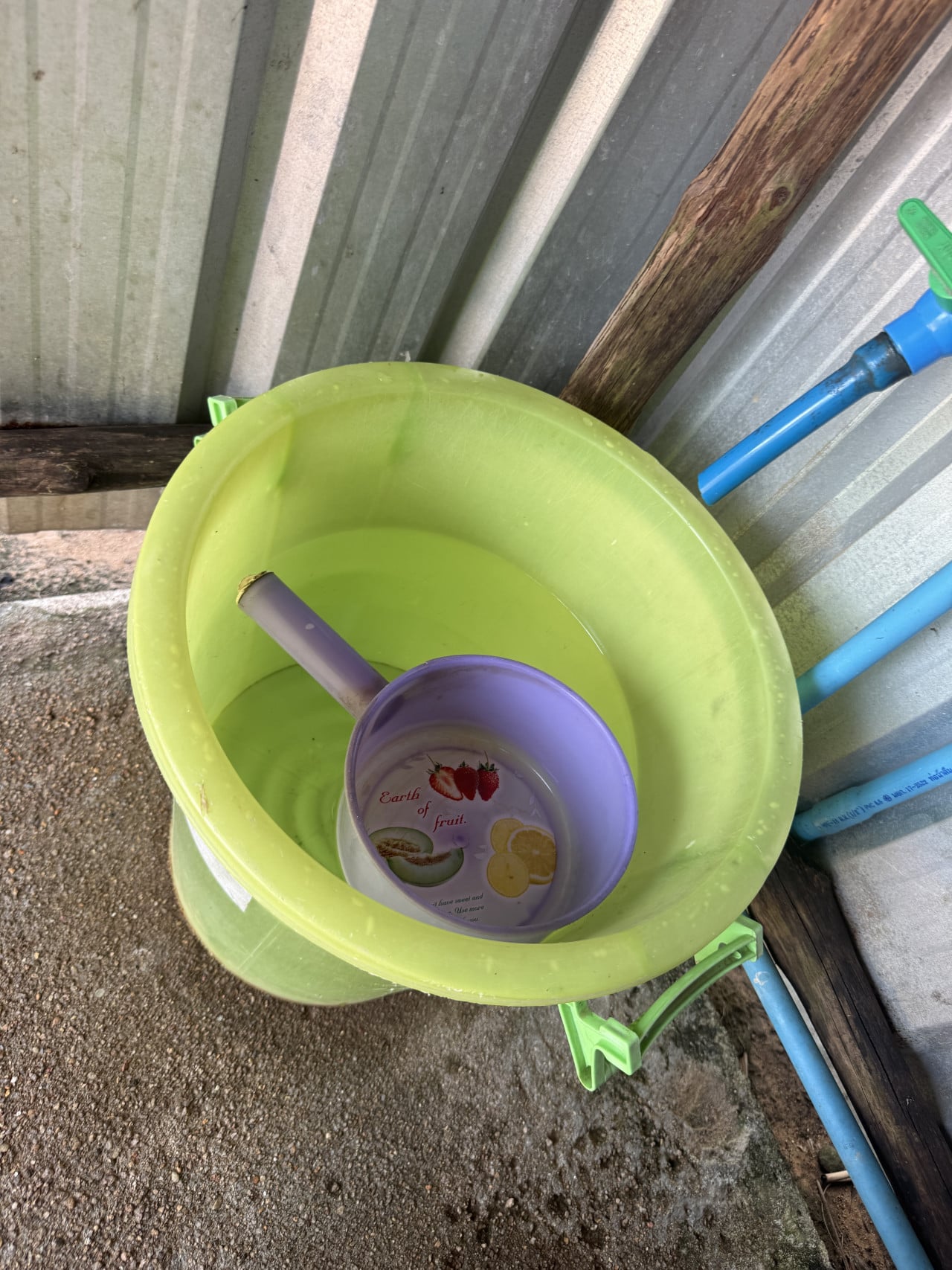Zelený kýbl s vodou a fialová naběračka s nápisem Earth of fruit