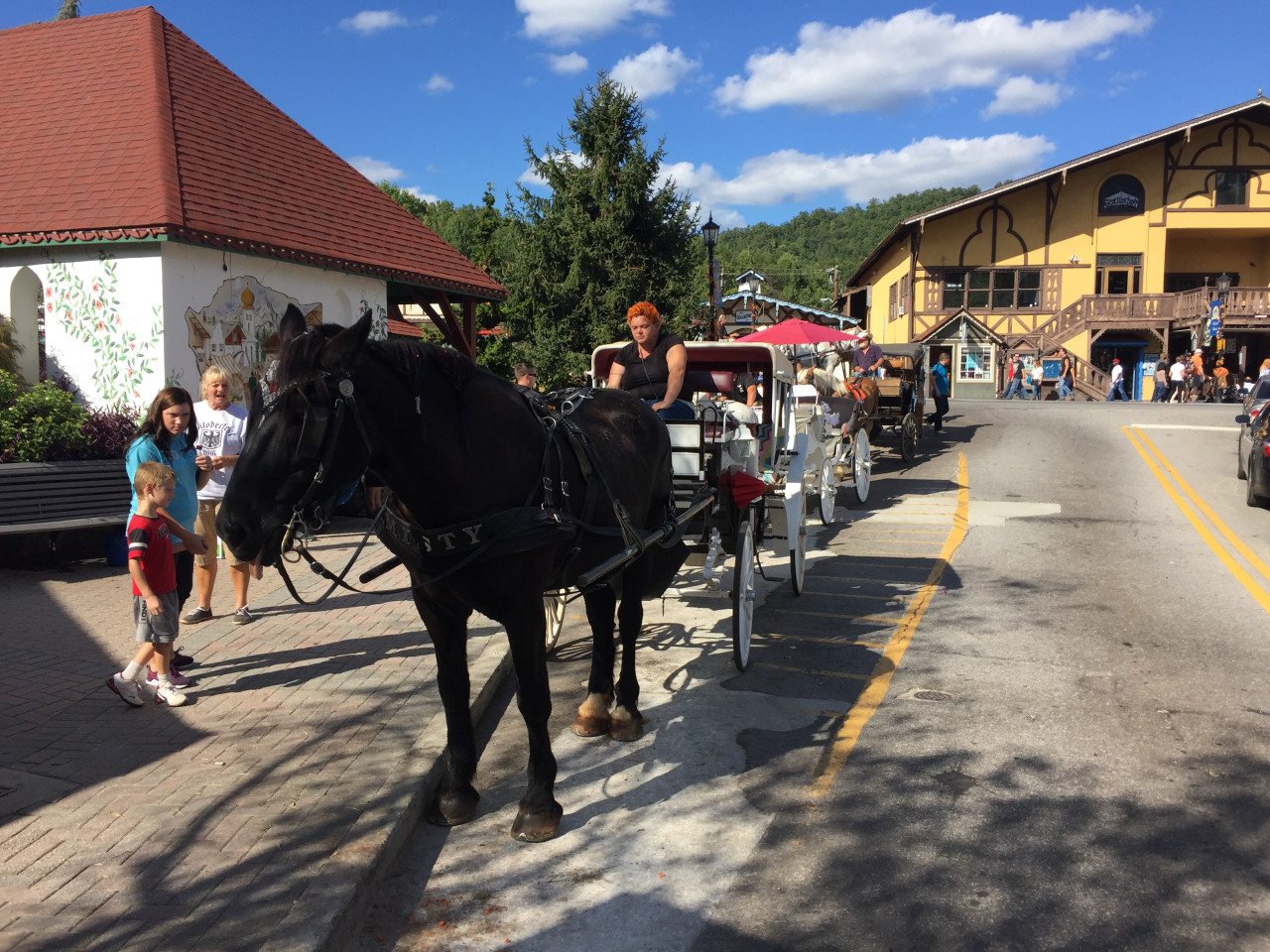 Koňský povoz před bavorskými domy v Helen, Georgia, s turisty na ulici