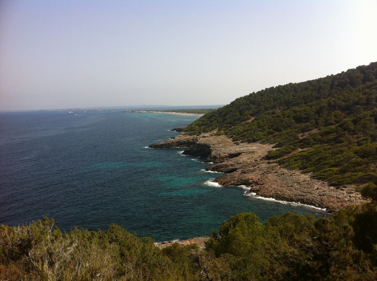 Pobřeží Ibizy s kamenitými útesy, zeleným lesem a tyrkysovým mořem